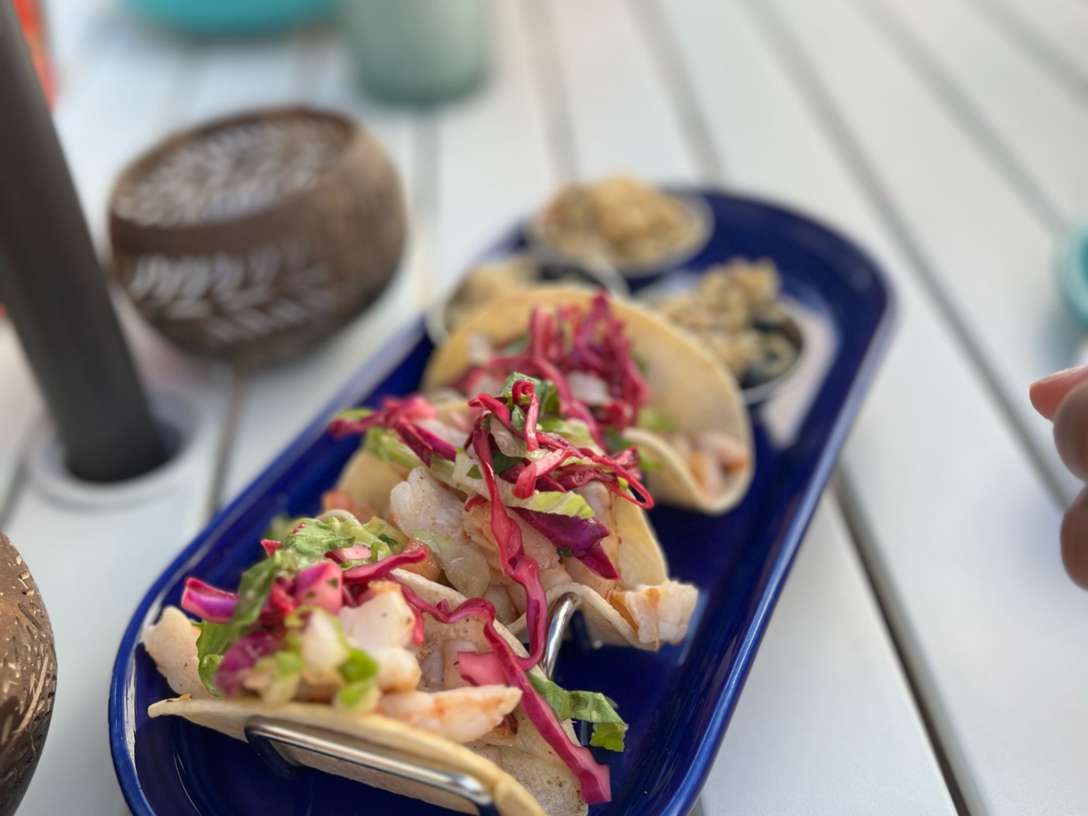 A plate of fresh seafood tacos, served at a local Rhode Island restaurant.