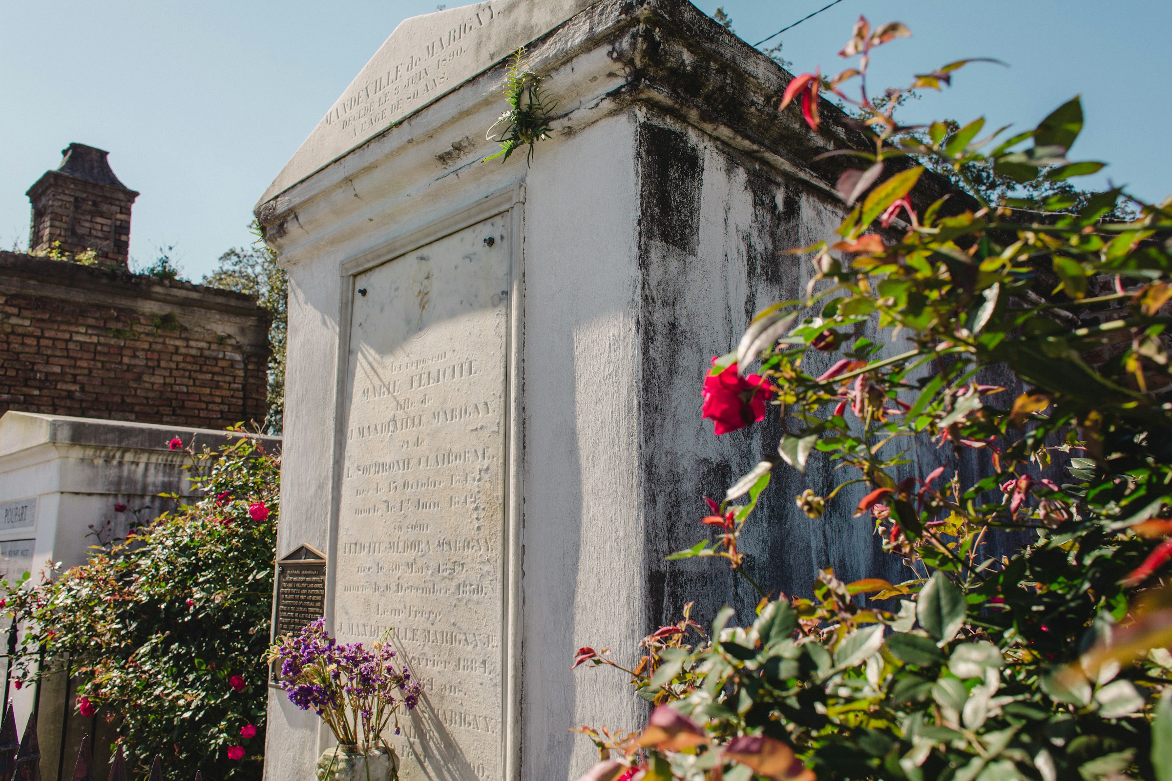 New Orleans is known for its ghost tours which takes you to cemeteries.