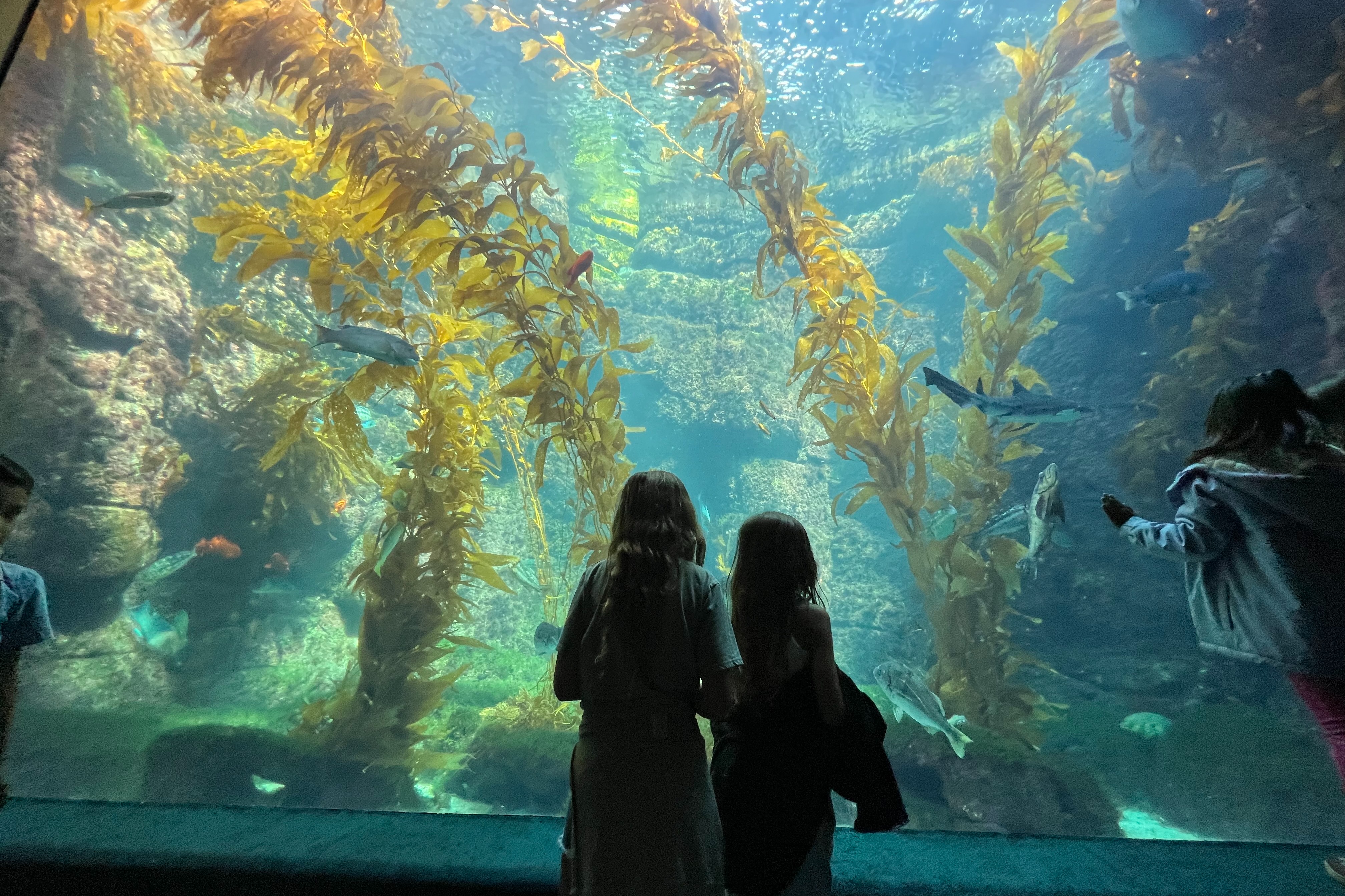 A picture of two children's silhouettes while they look at the aquatic life at an aquarium.