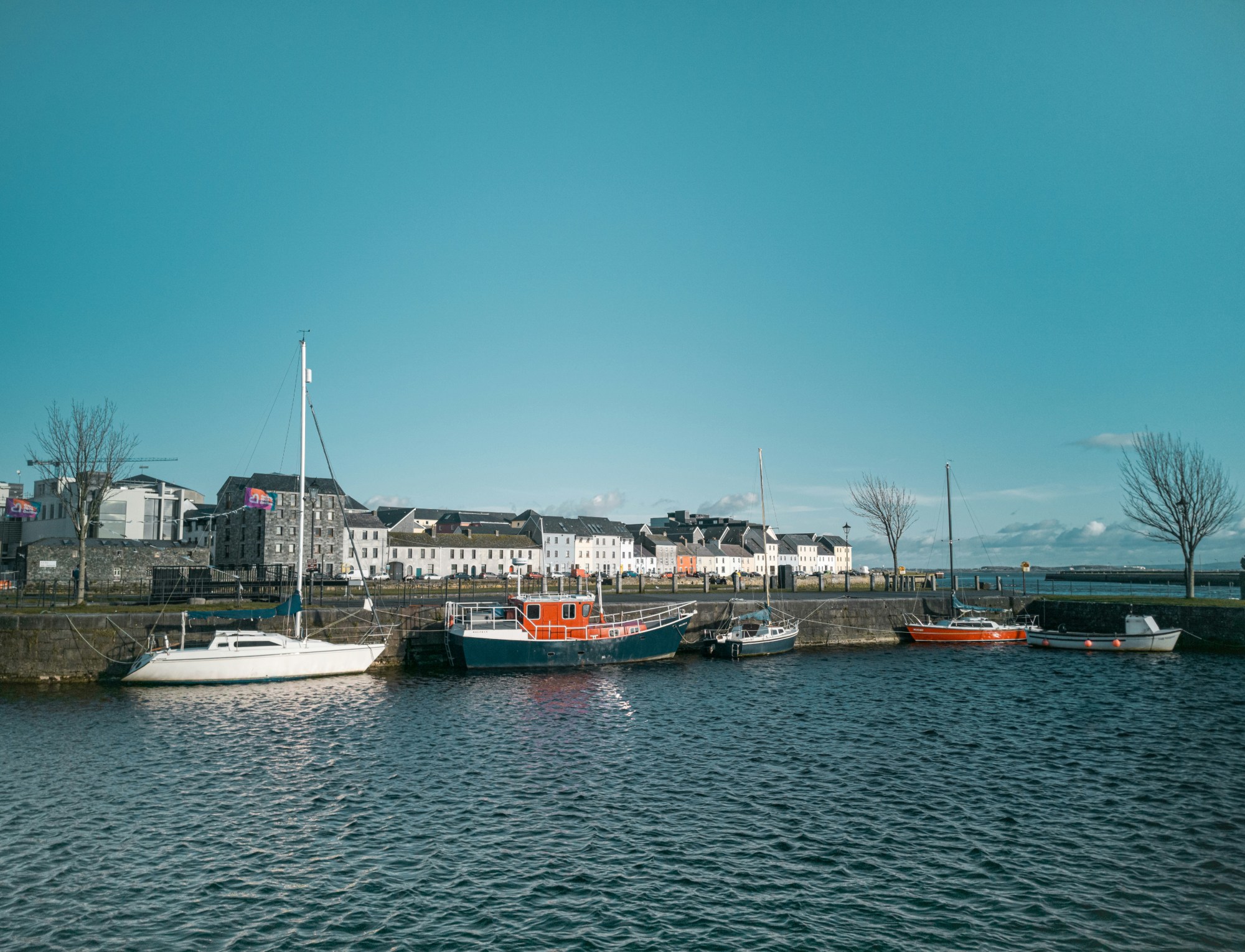 A view of sailboats docked in a harbor with trees and buildings in the background.