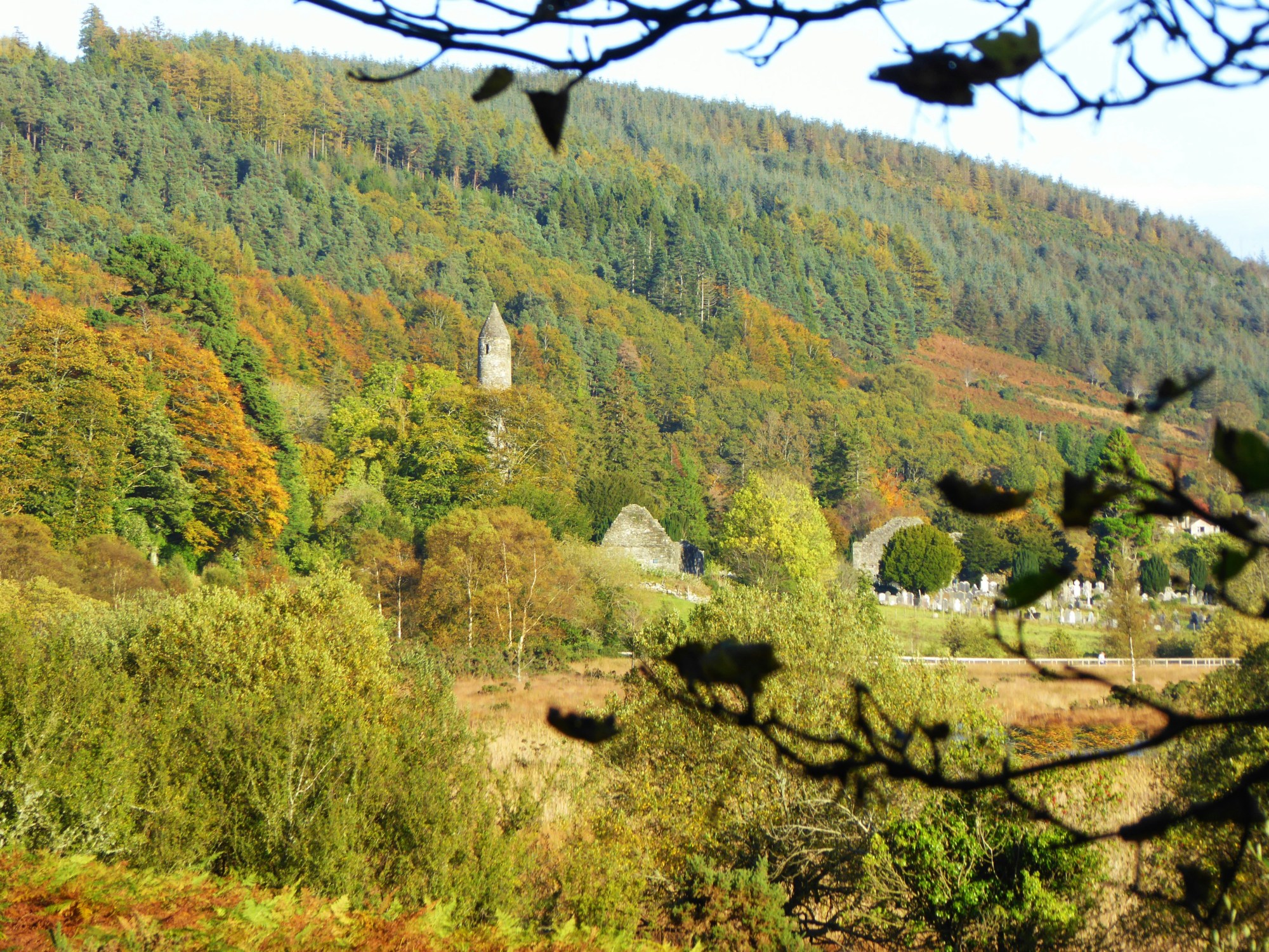 A view of green trees covering a mountain side with a white church poking up in the distance.