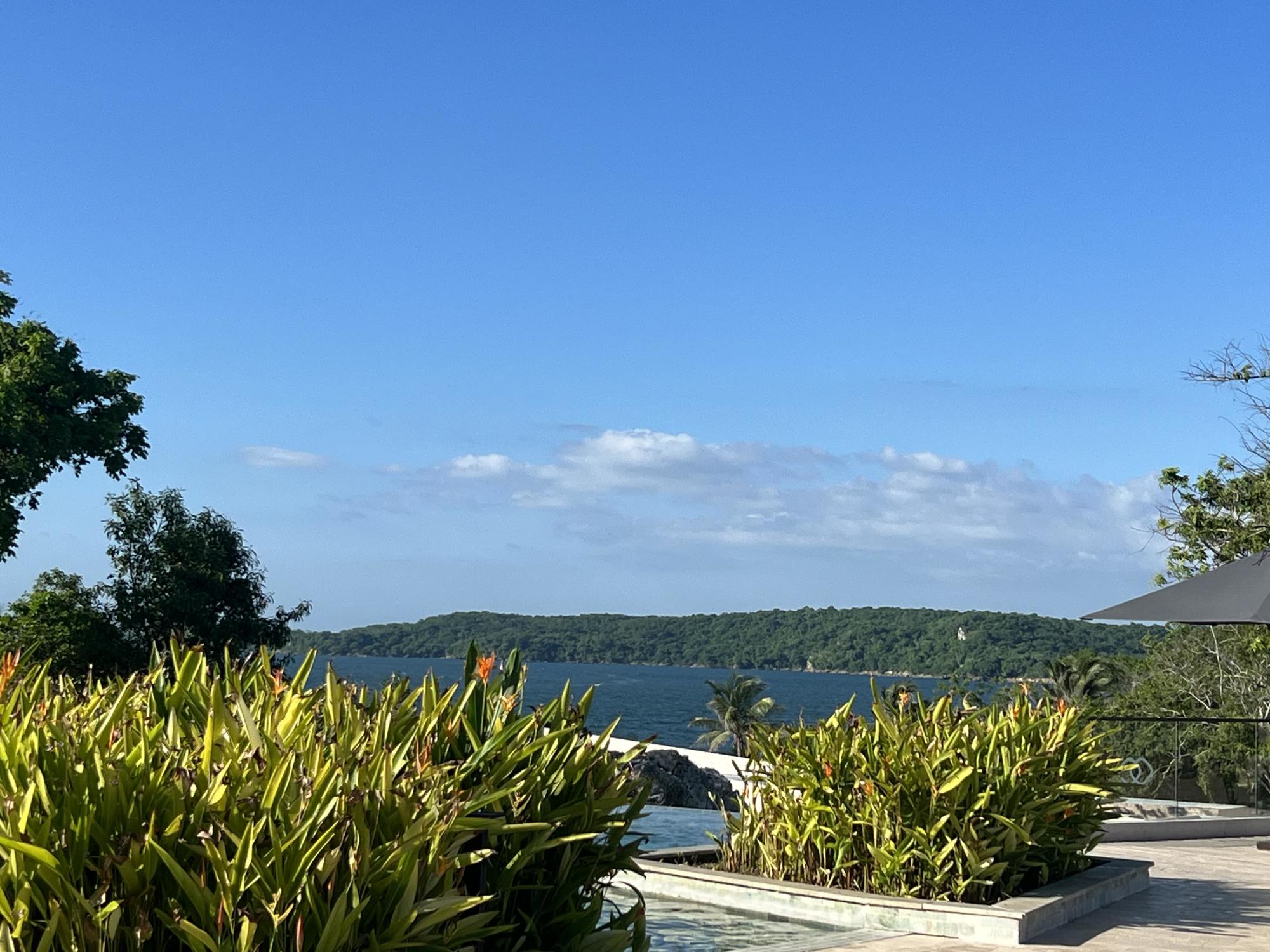 A view of the ocean from a resort, with plants and trees in the surrounding area.