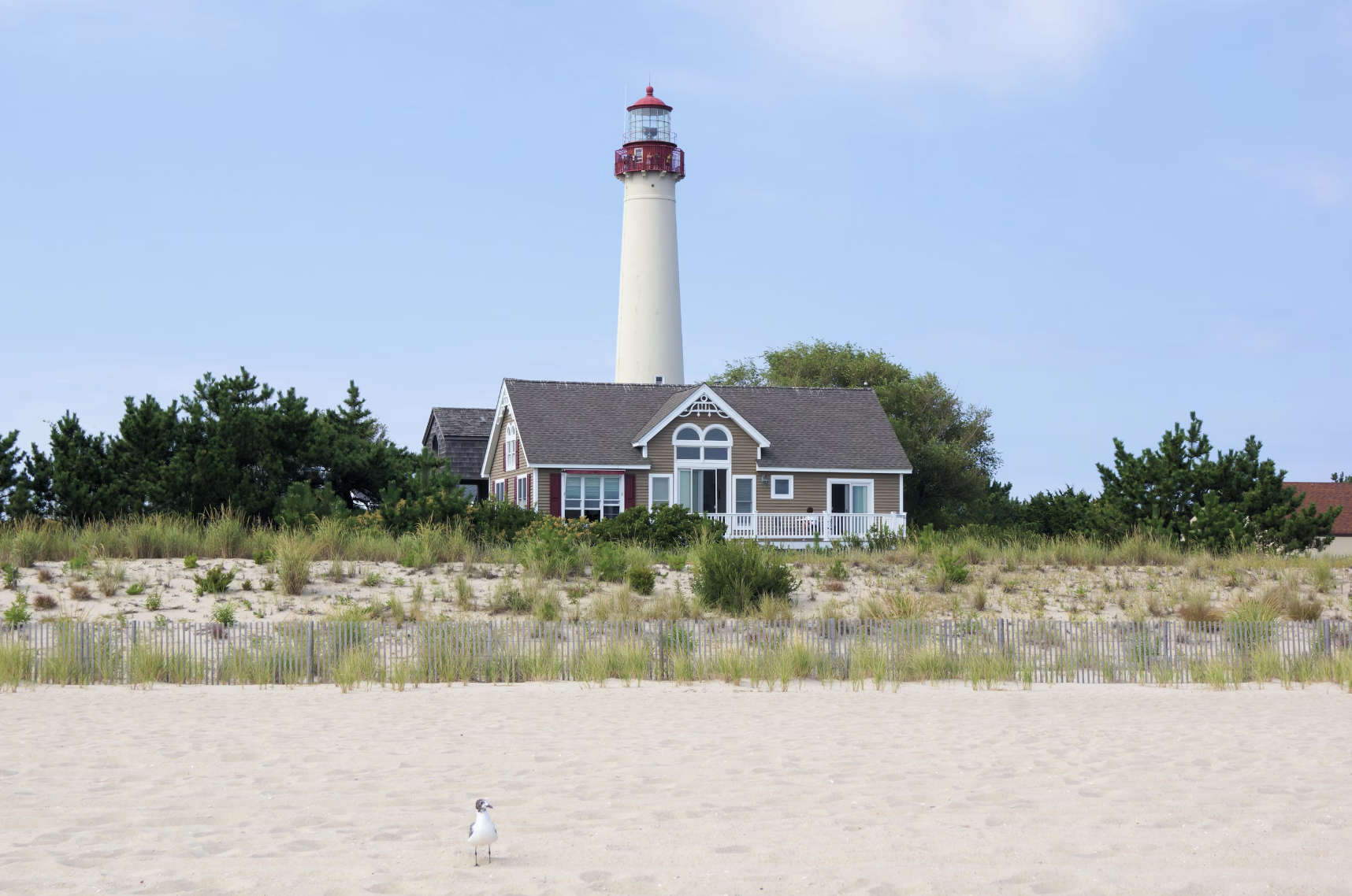 A beach with a seagull walking on it and a lighthouse in the background, surrounded by trees, brush and wild grass.