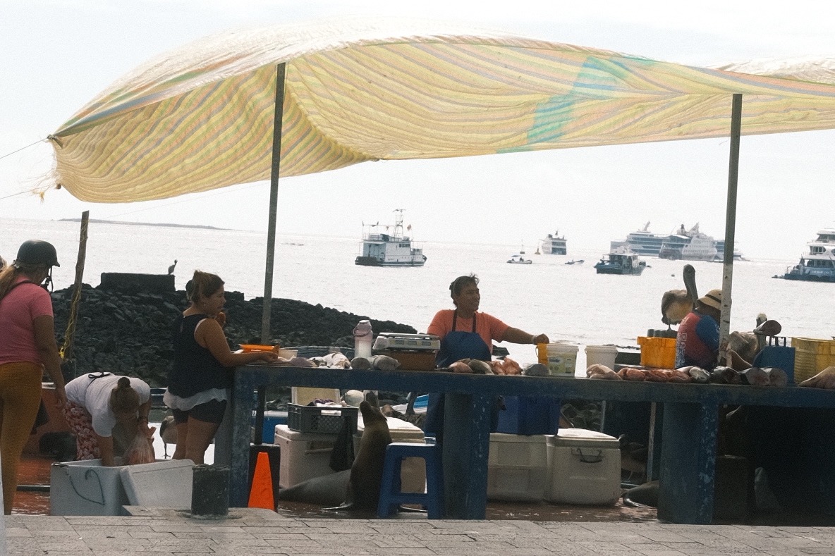 Santa Cruz Town Fish Market with fish sellers gathered around a shaded stand and the sea in the background covered with boats.