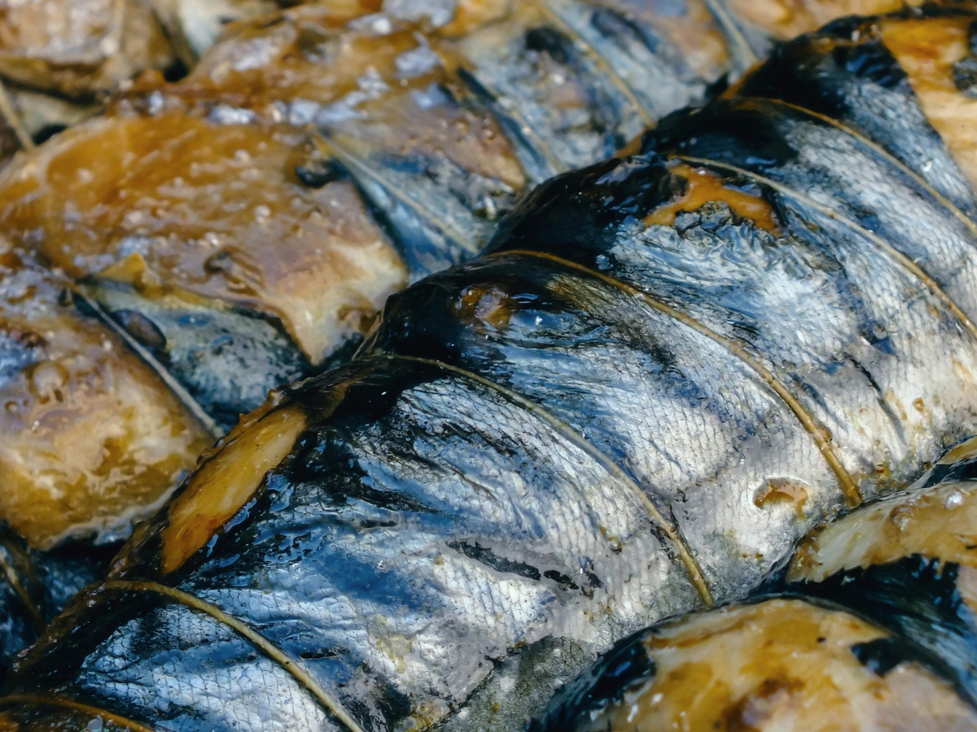 Fish being cooked.