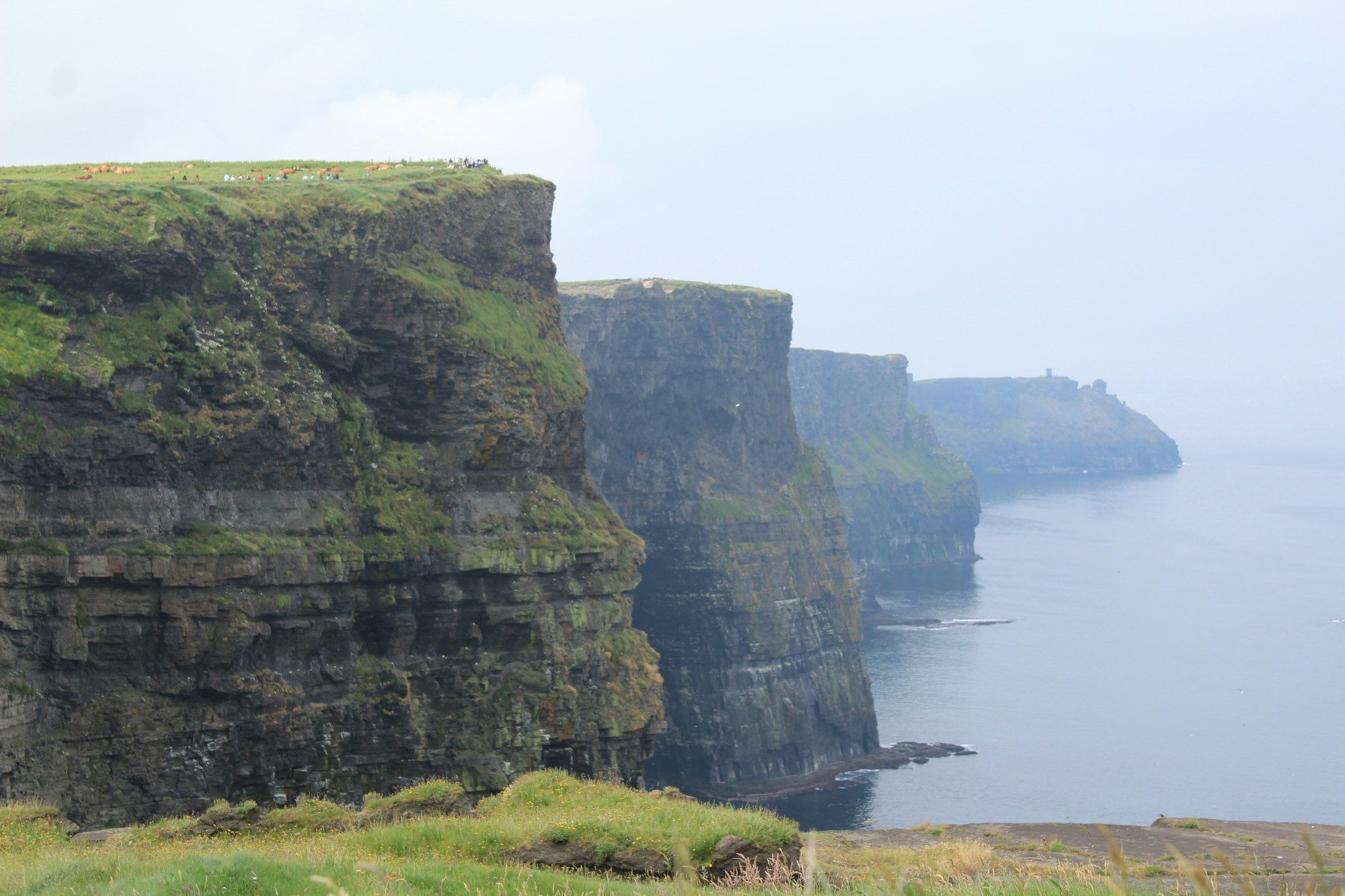Green cliffs on a coast.