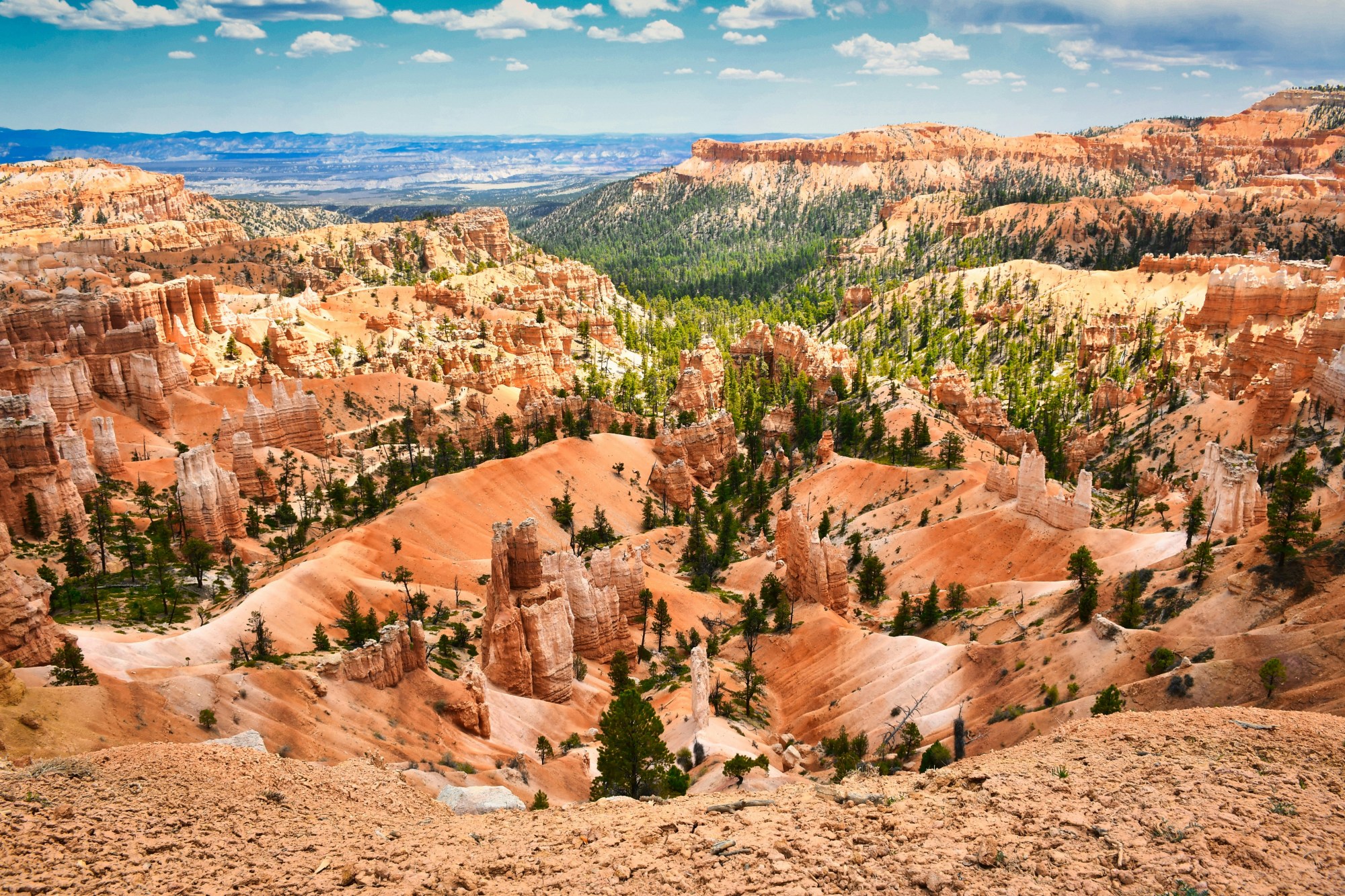 A view of a rocky canyon covered in trees beneath a cloudy blue sky.