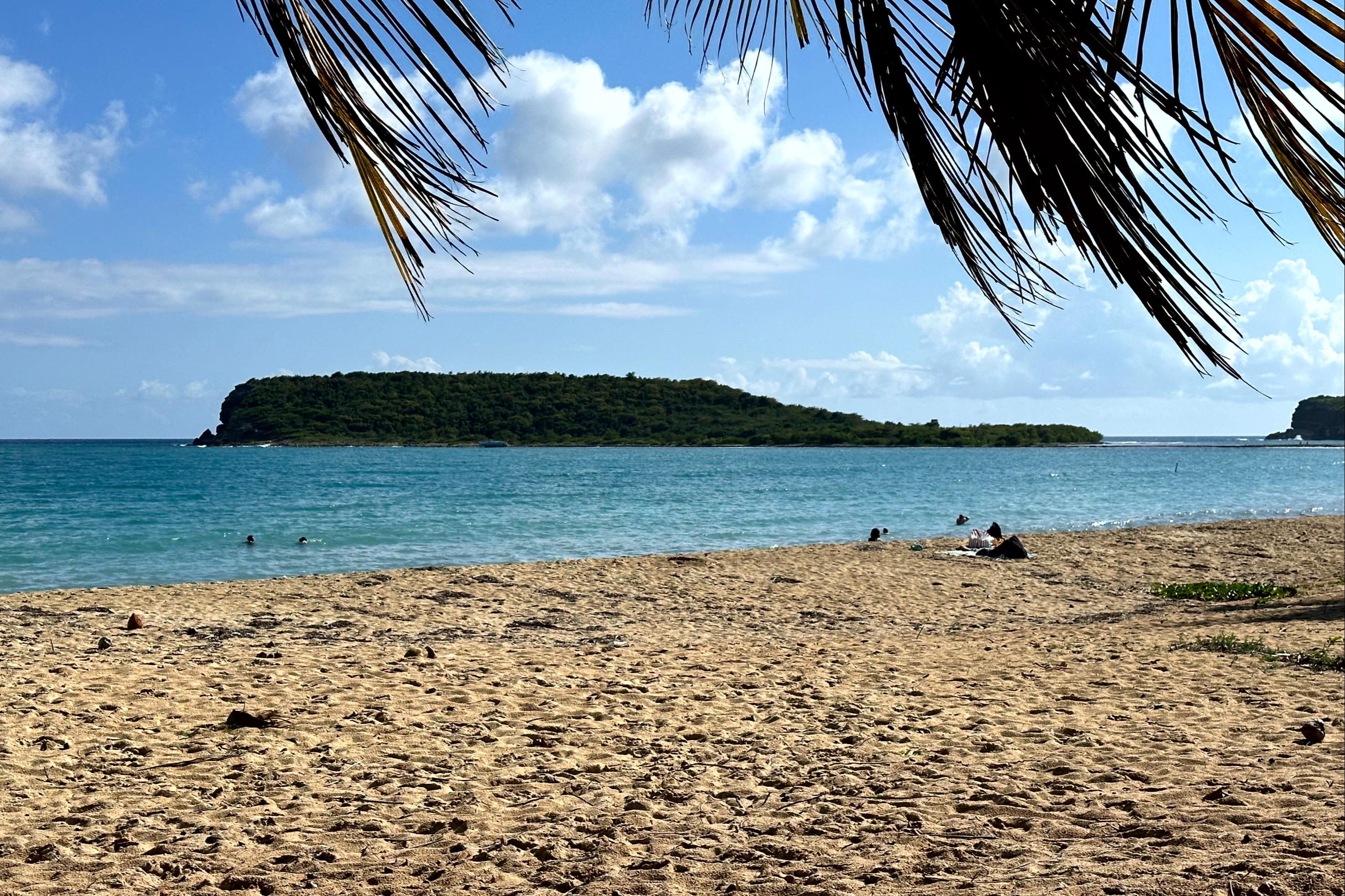 A picture of a beach with blue water and palm trees.