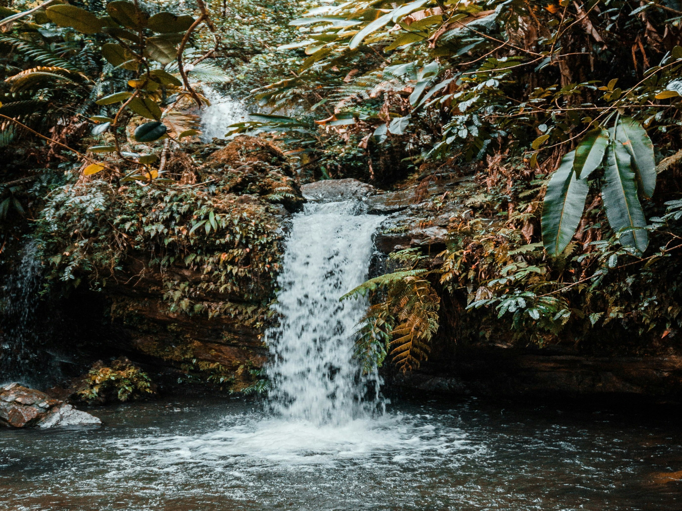 A picture of a small waterfall in the middle of a forest during the daytime.