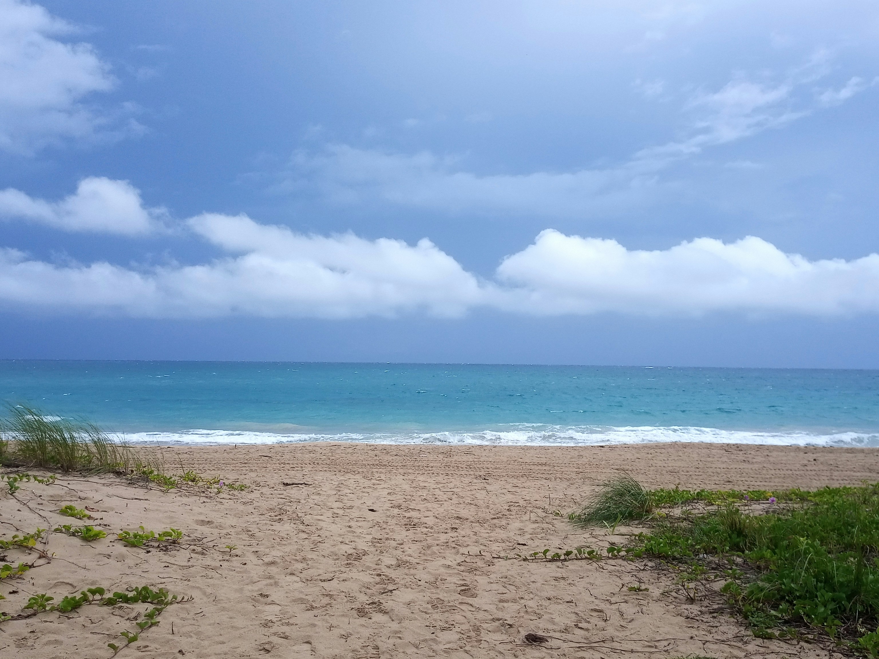 A picture of a beach view during the daytime.