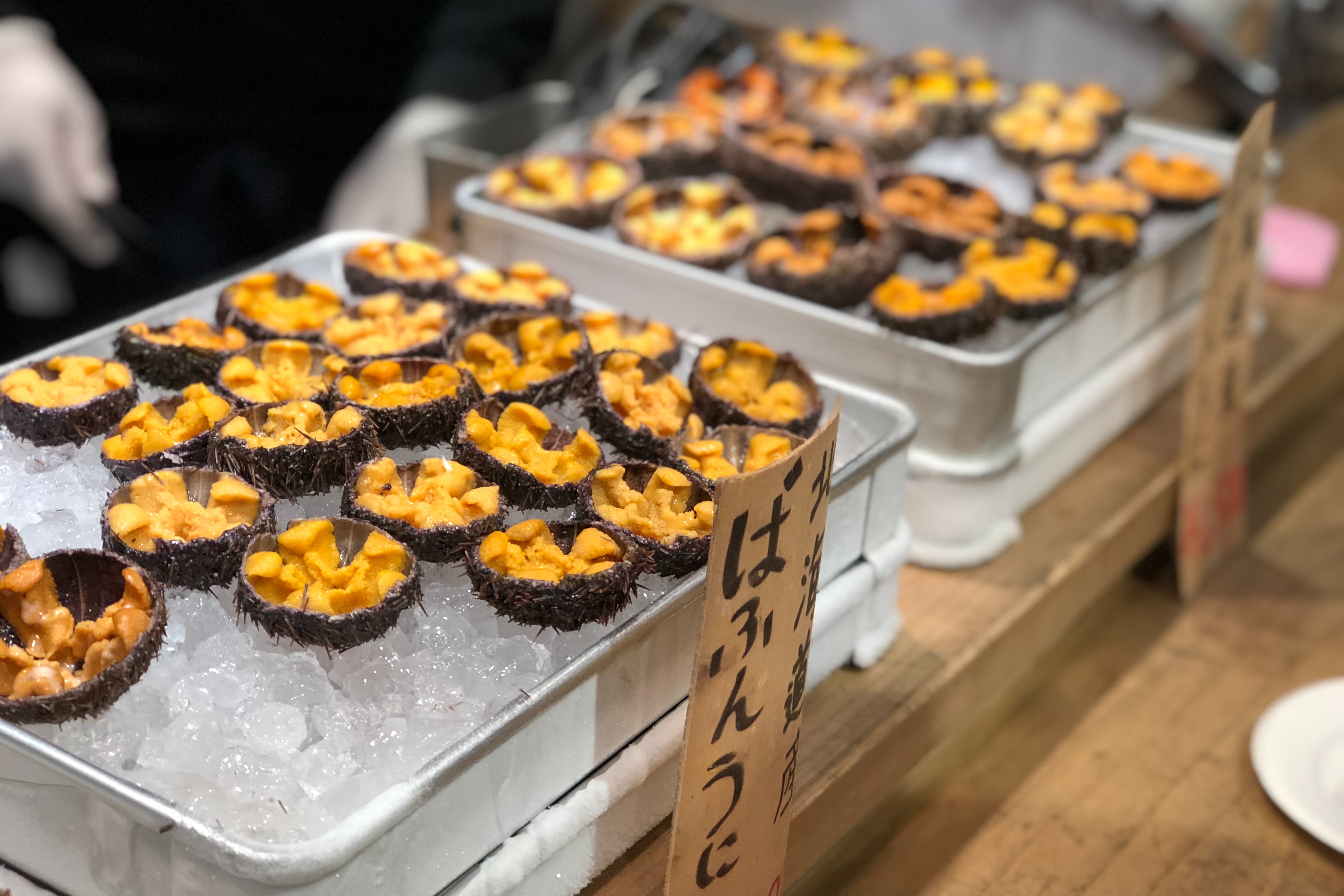 Famous golden egg urchin open and ready to eat on ice in Kyoto fish market.
