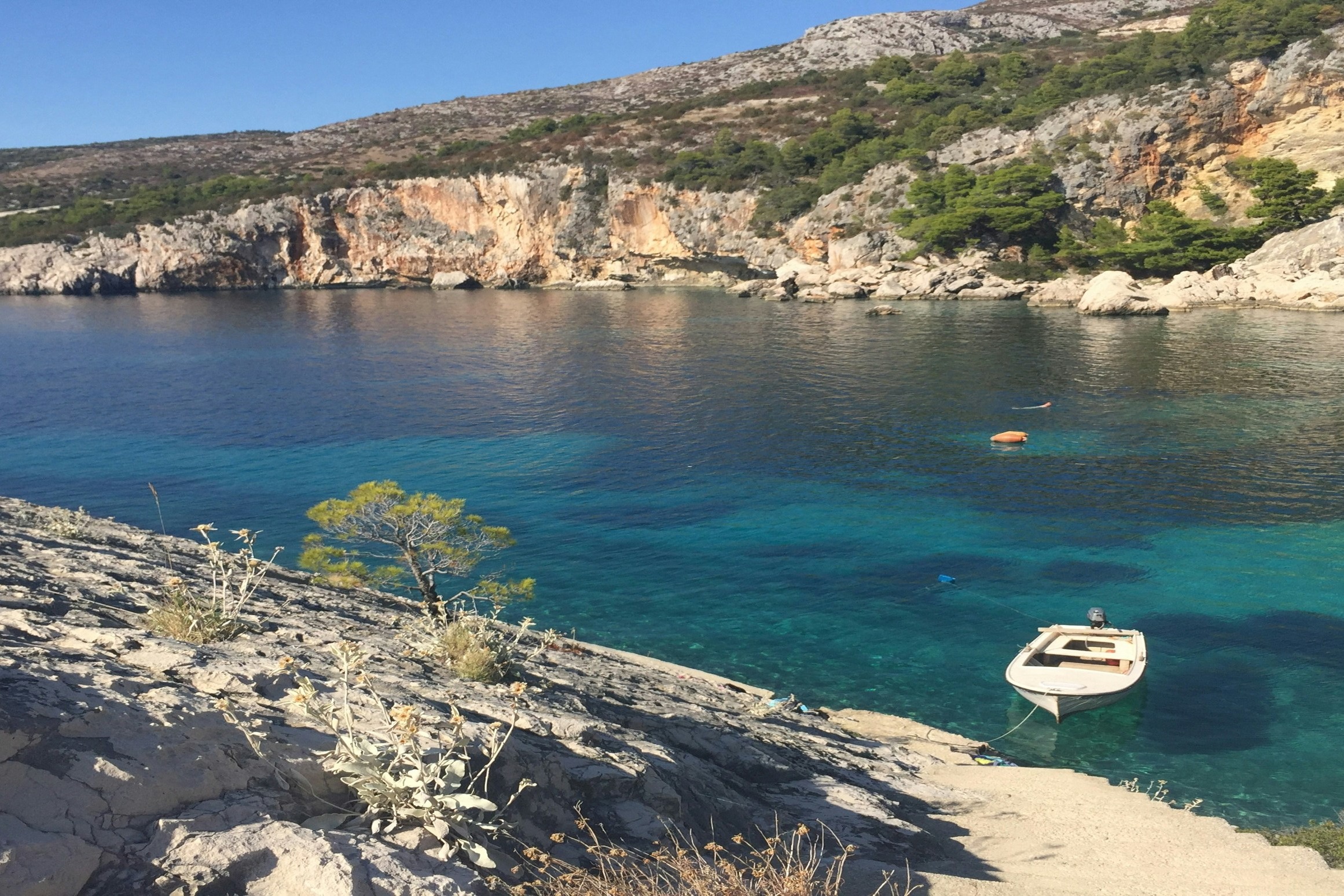 A picture of a white yacht on blue water during daytime.