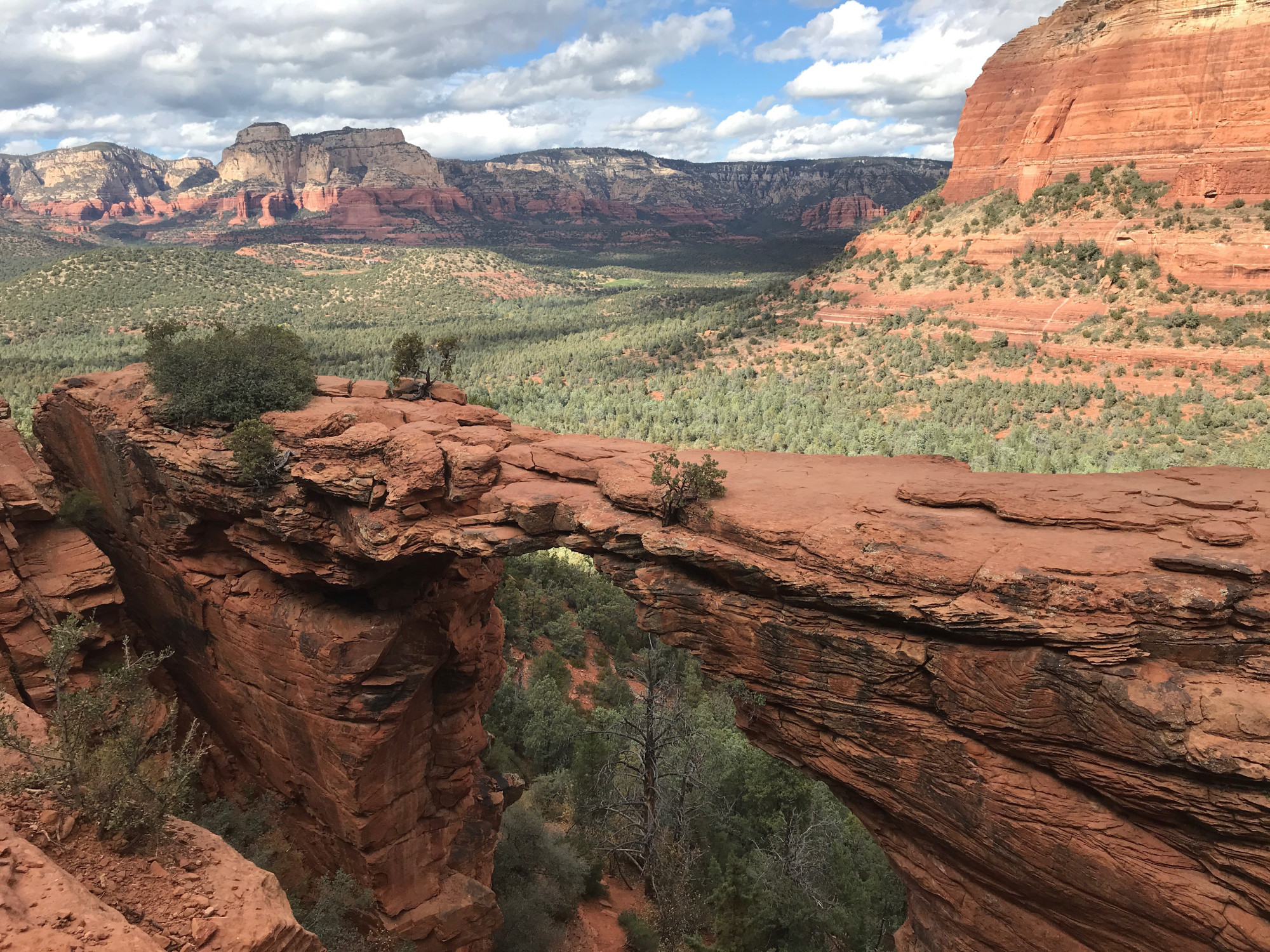 A red rock bridge formation over a valley filled with green trees