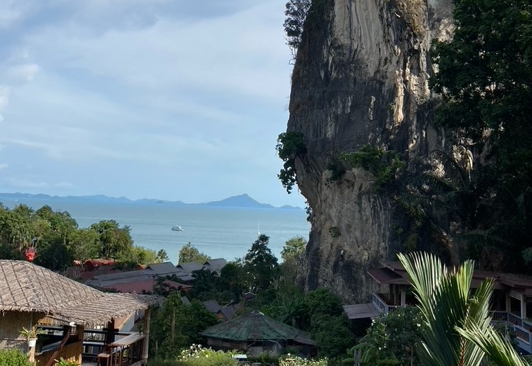 A cliff over hang with the ocean in the distance and foliage.