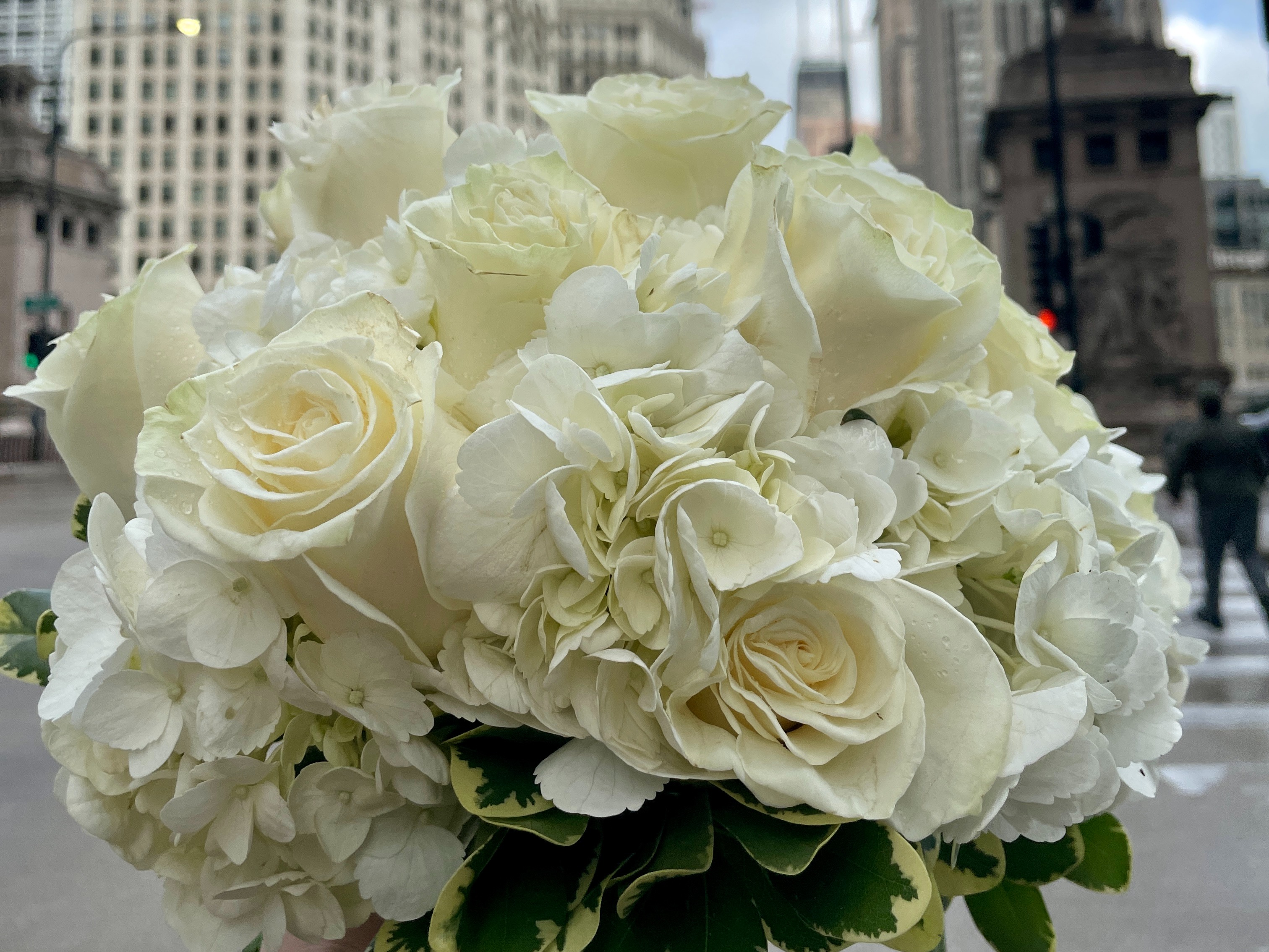 White roses in a bouqet