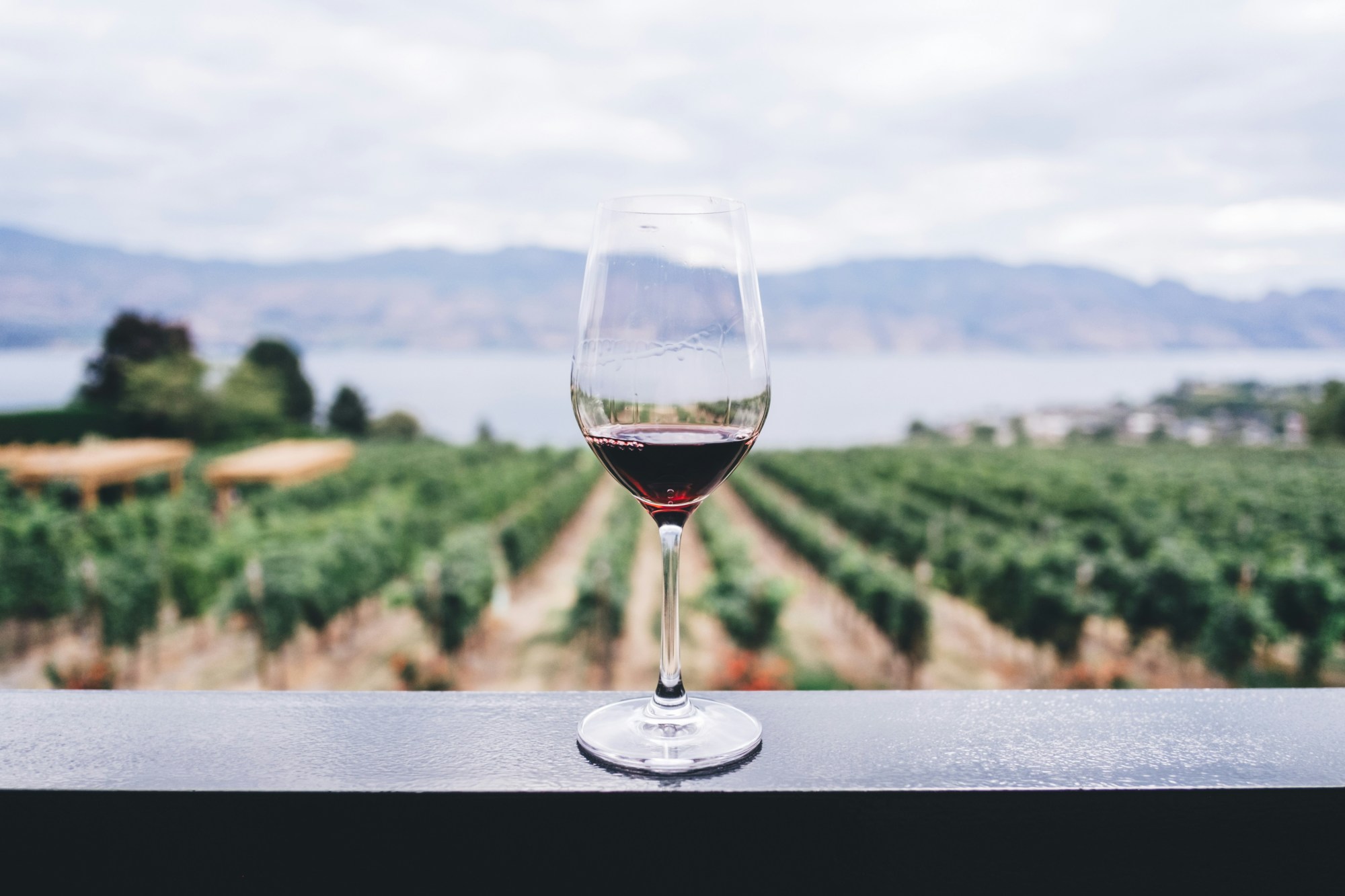 A glass of red wine on a surface overlooking a vineyard