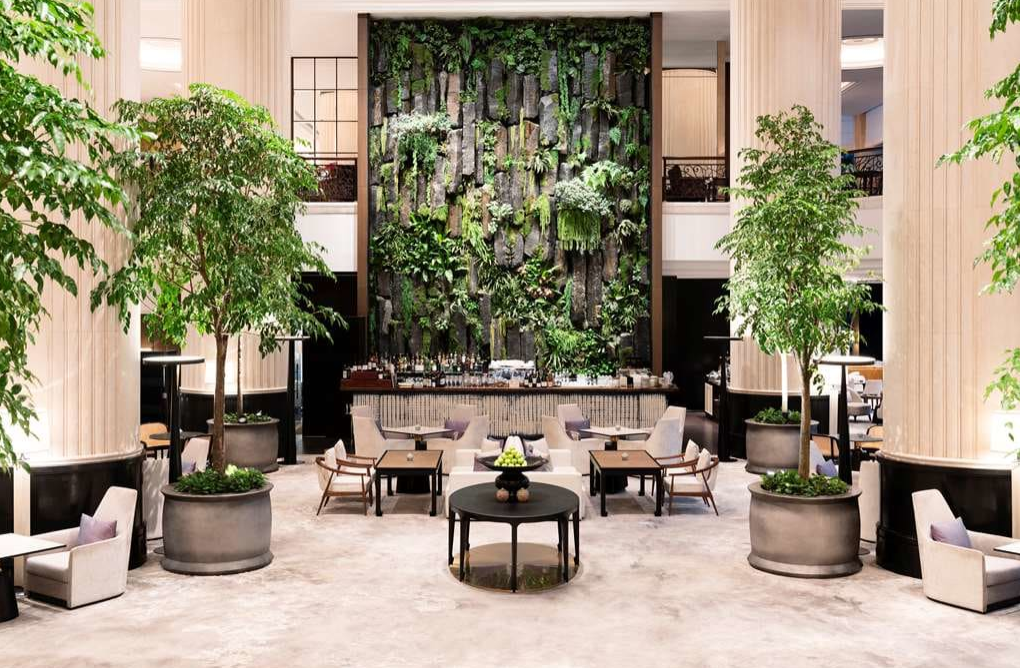 a sunlit dining room with a wall covered with greenery
