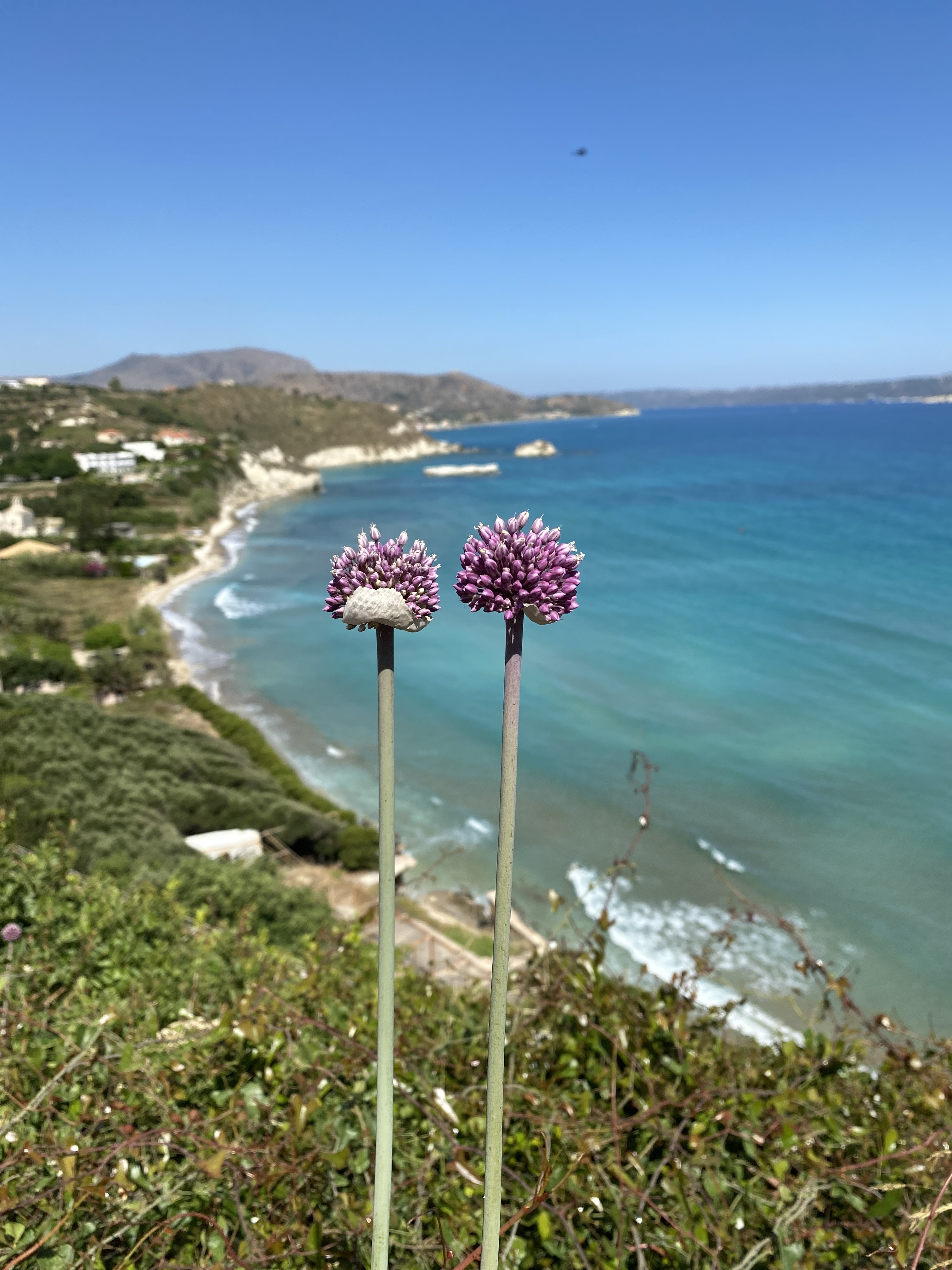 Beautiful view of sea