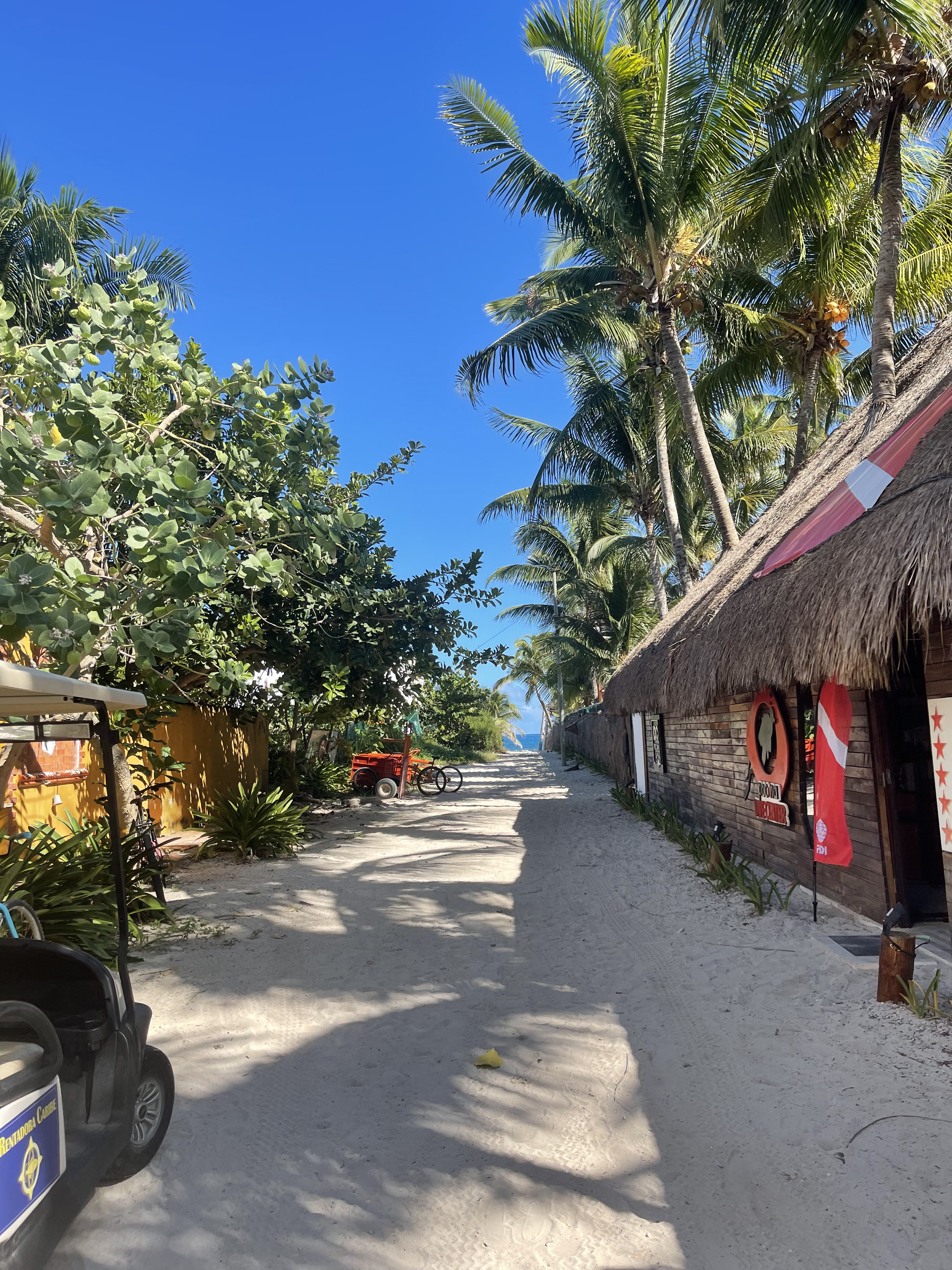 Path leading to the beach