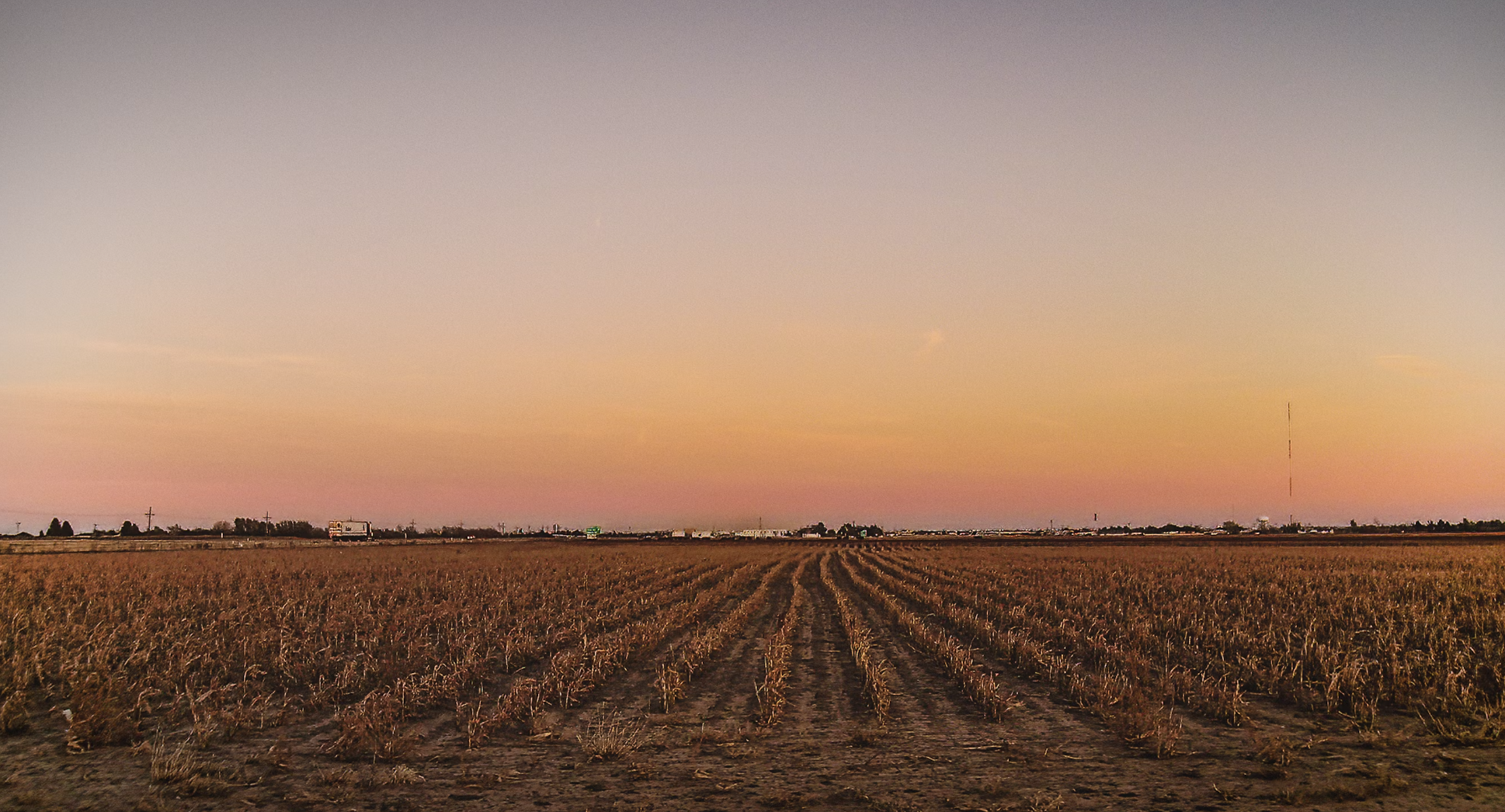 A grassy field with a pink and orange hued sunset above it.