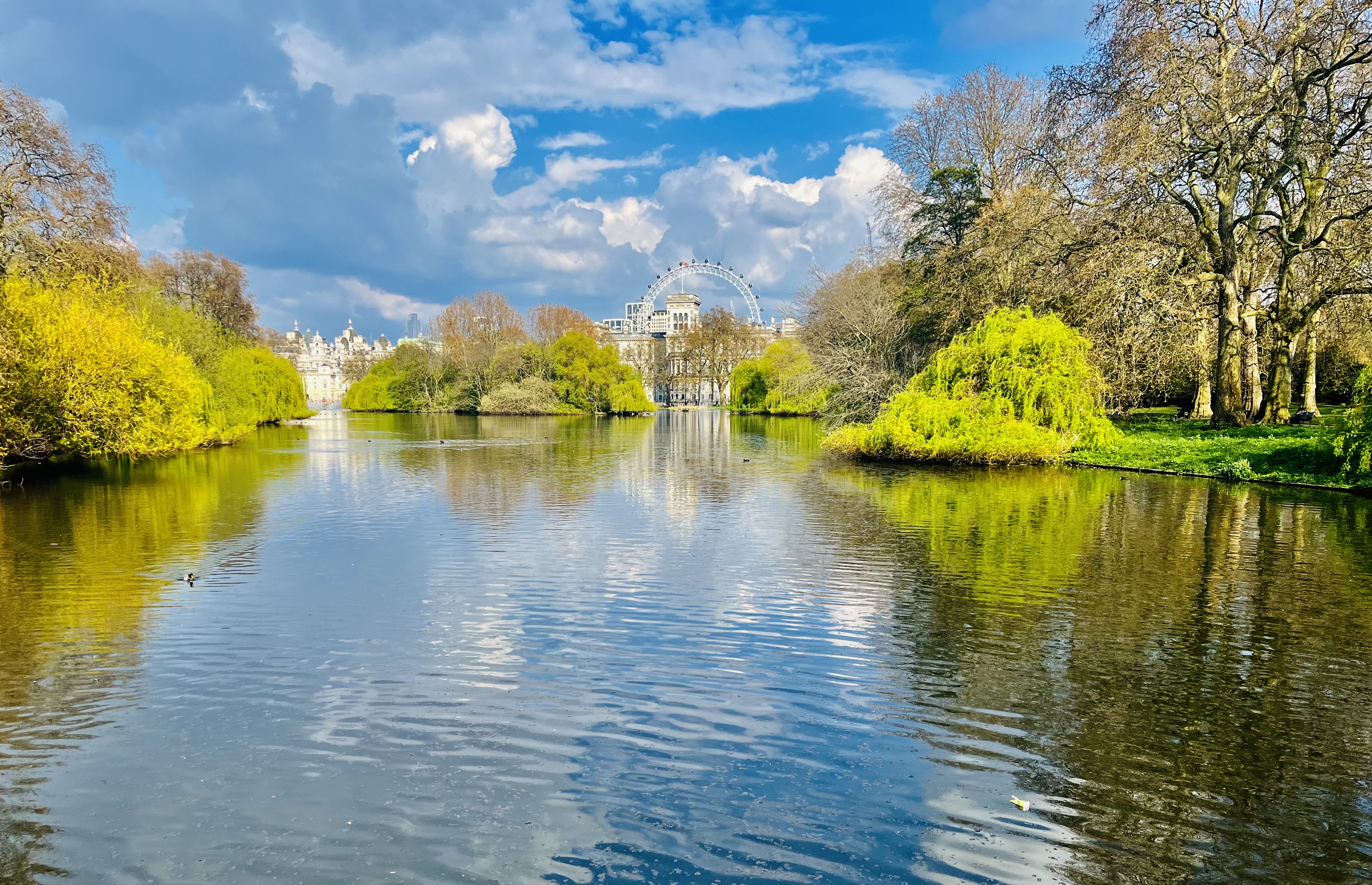 lake view