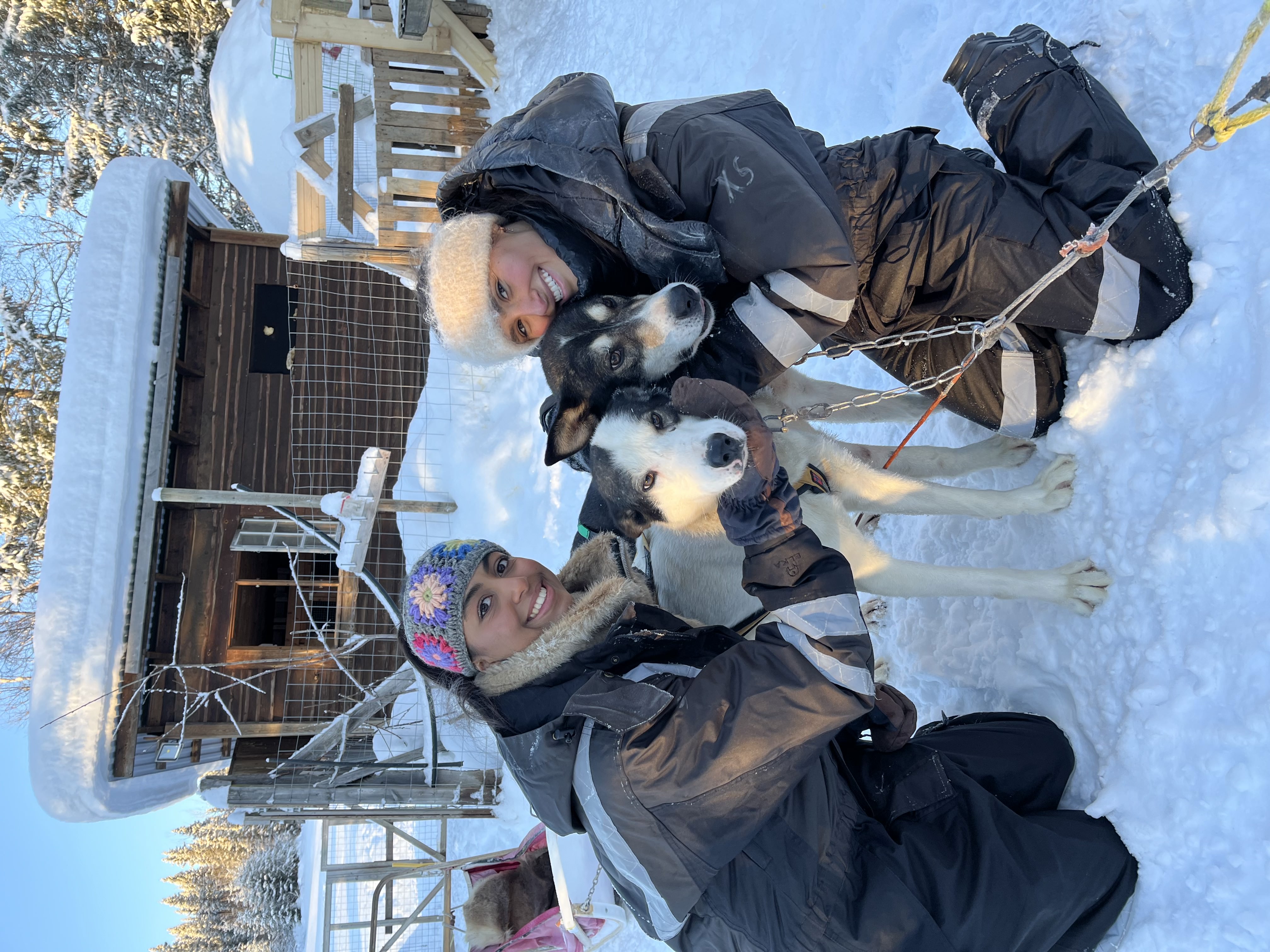 picture with dogs
