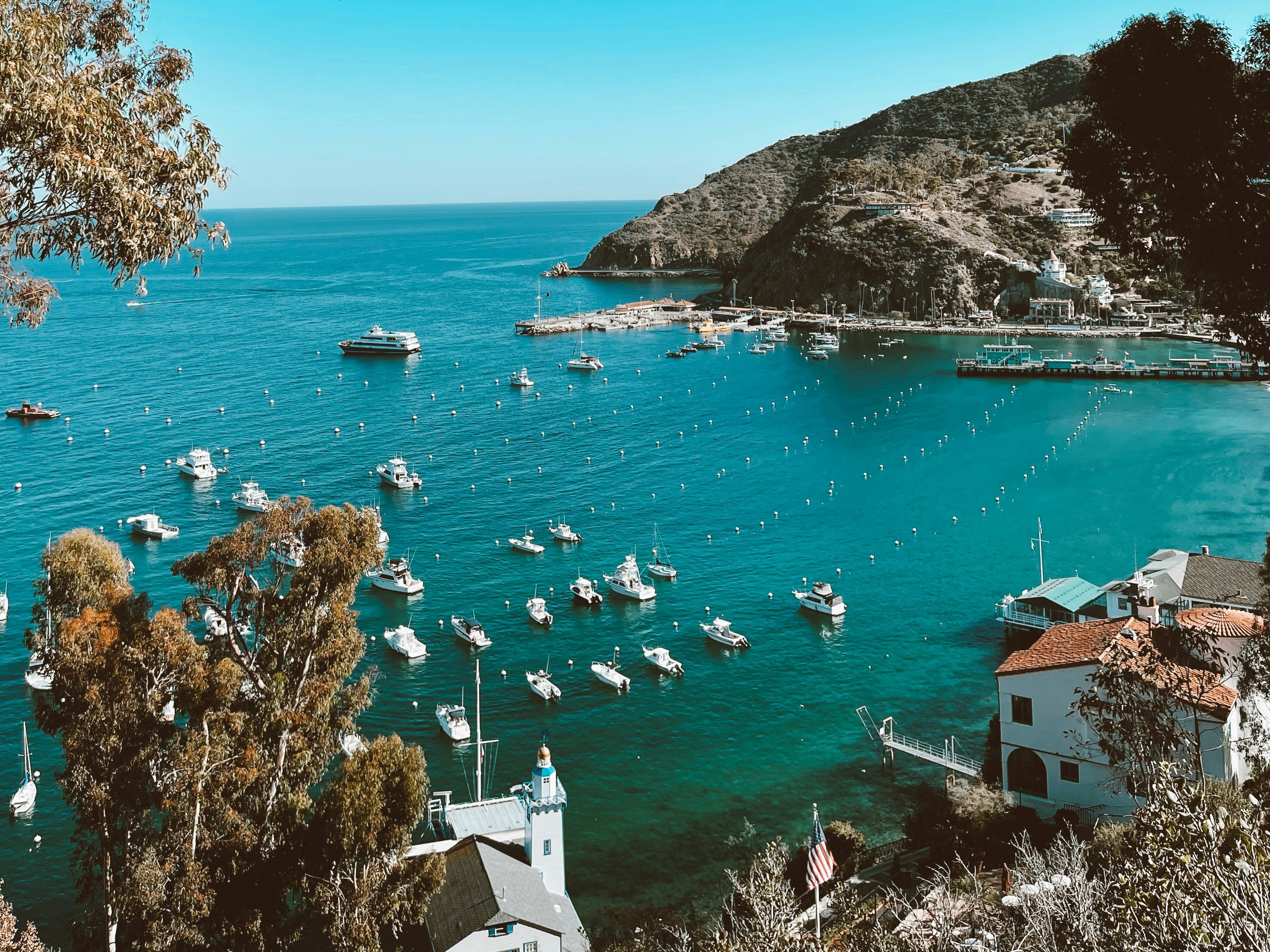 Catalina Island