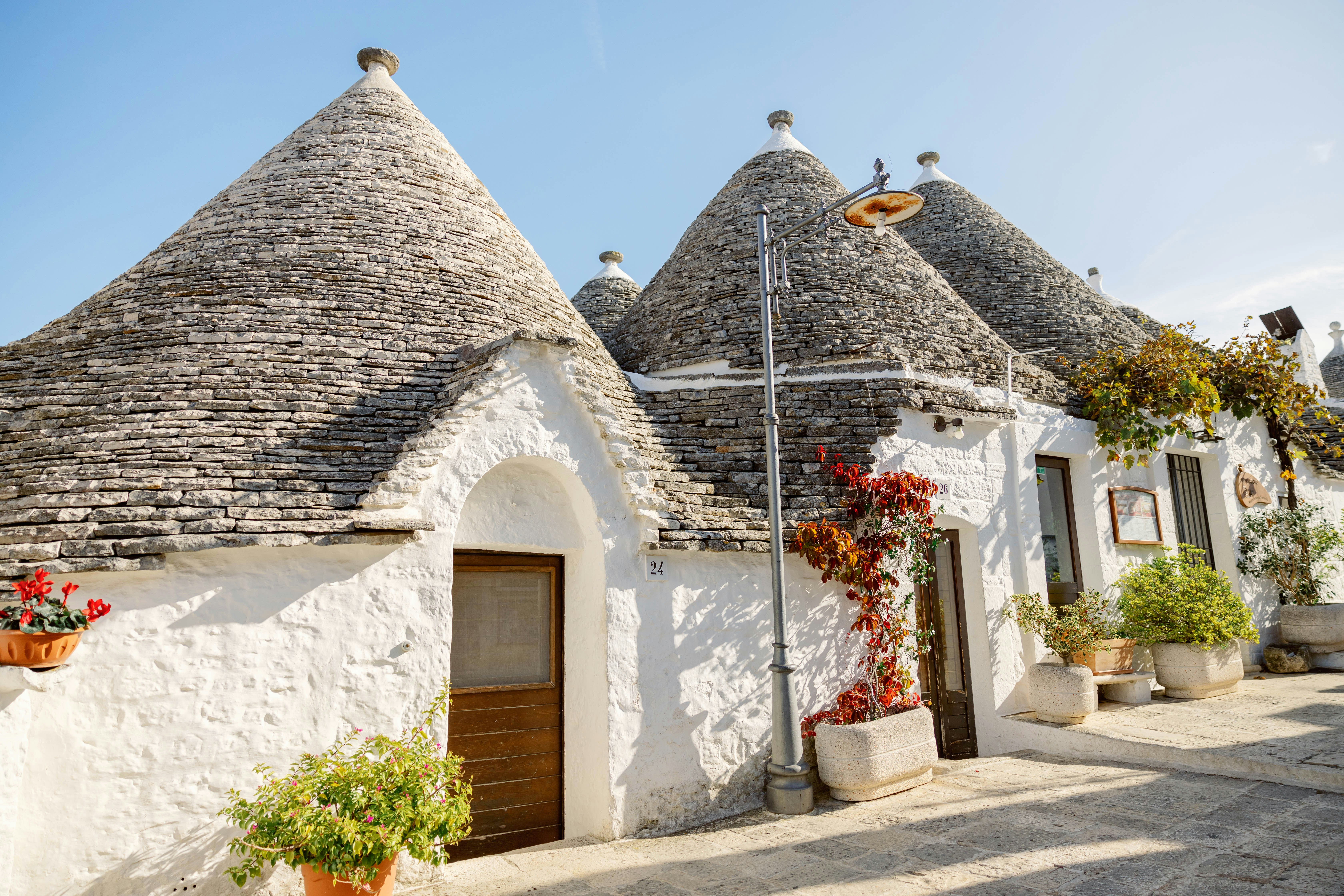 A picture of white buildings with gray domes with potted plants in front of it.