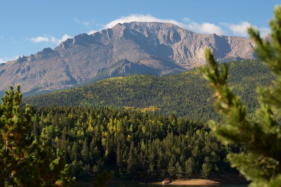 A tree-covered mountain range during the daytime