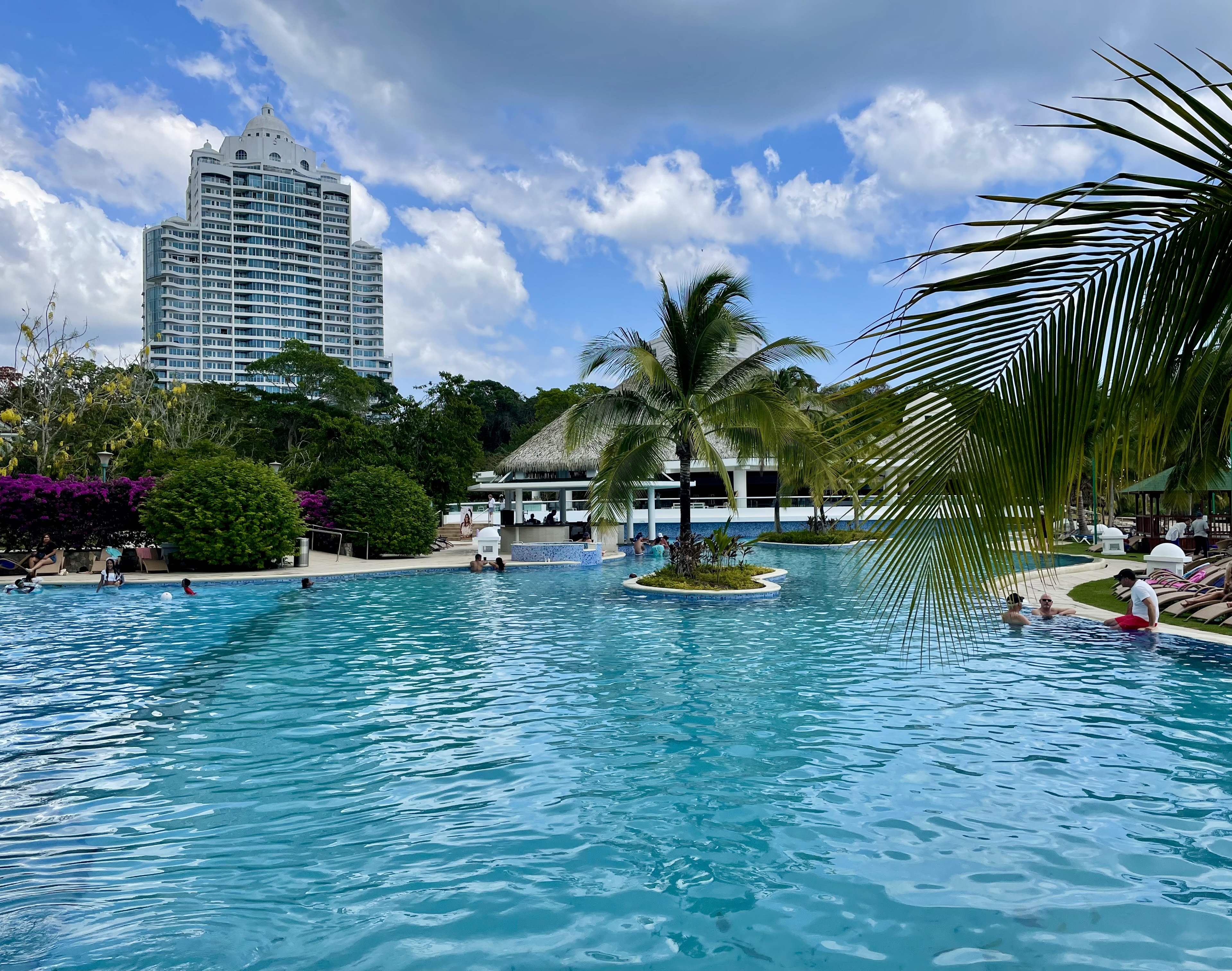 An aerial view of the swimming pool with palm trees near a hotel during the daytime.