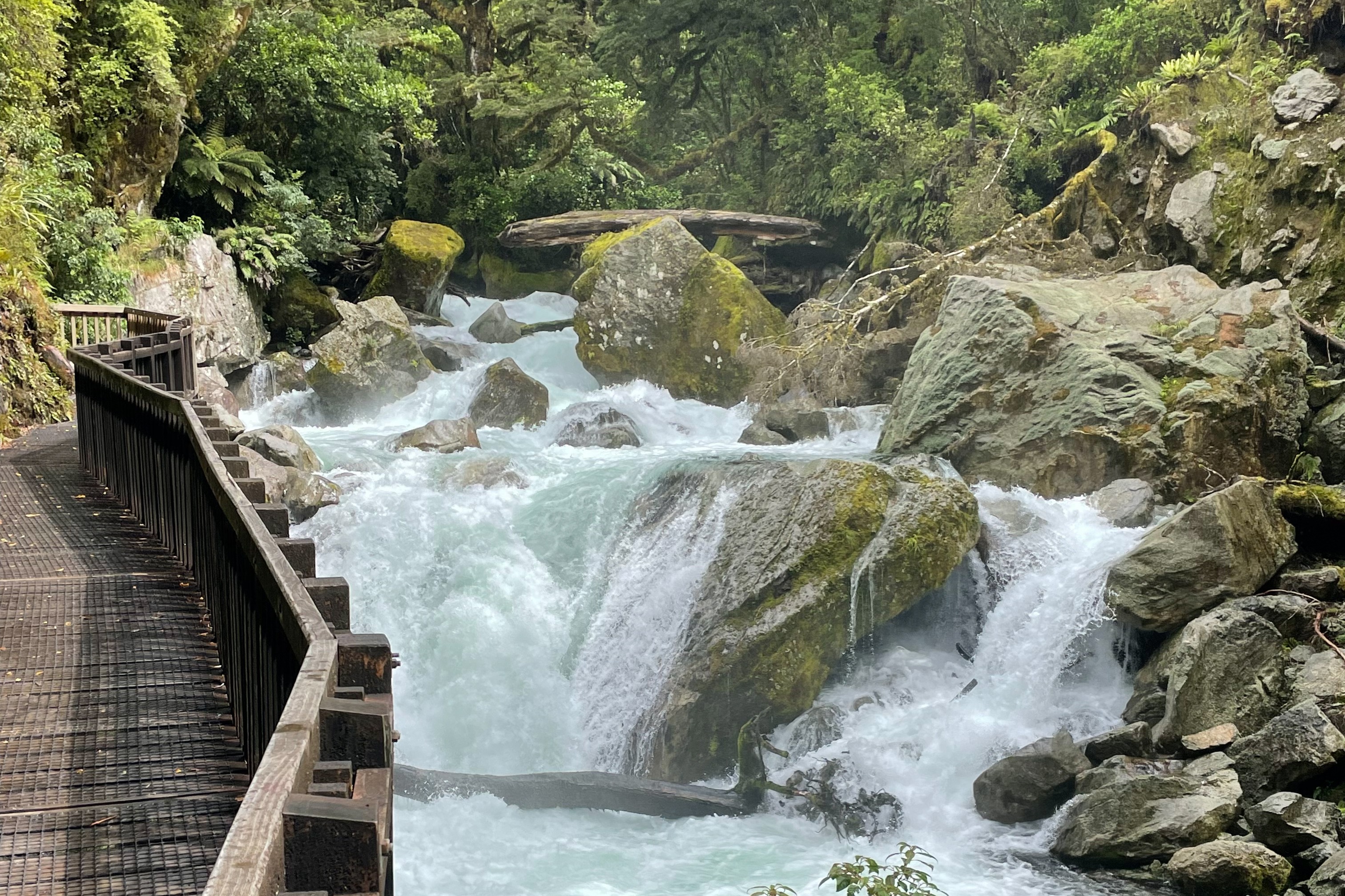 Have a stunning self-drive to Milford Sound.