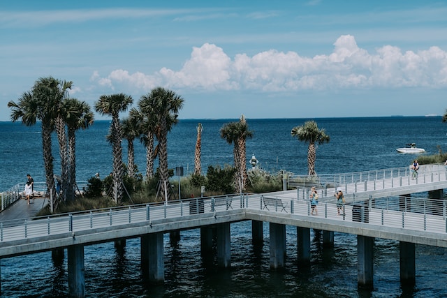 Florida's blue water and palm trees in the distance on a sunny day