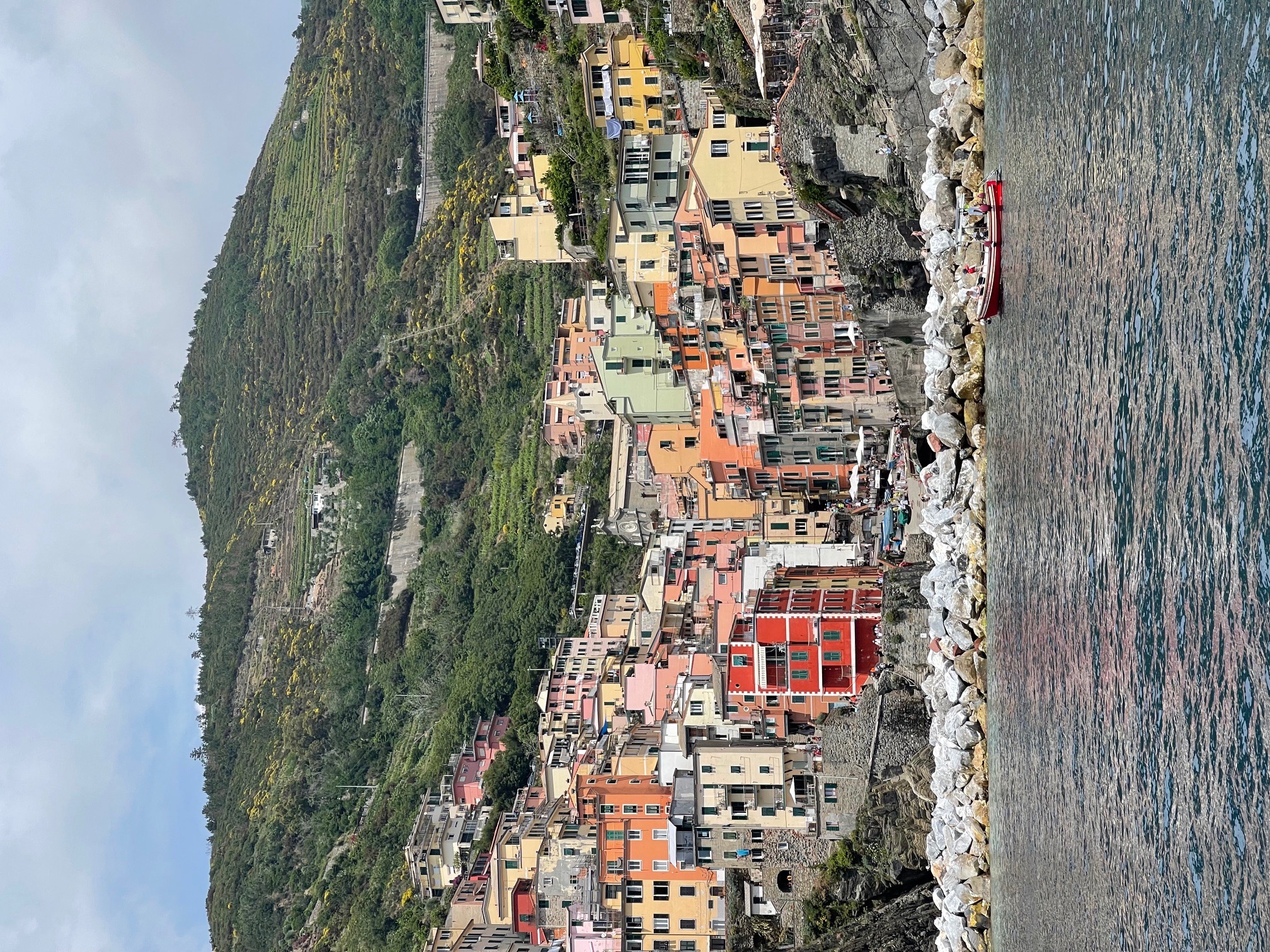 View of Manarola in Italy, with colorful houses on a hillside next to water.