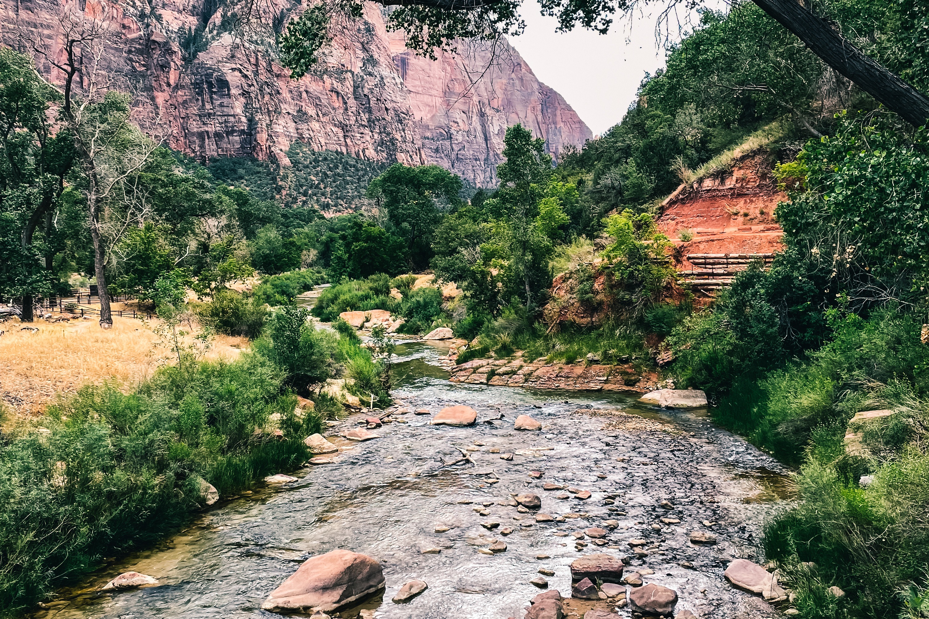 The Virgin River runs through Zion National Park.