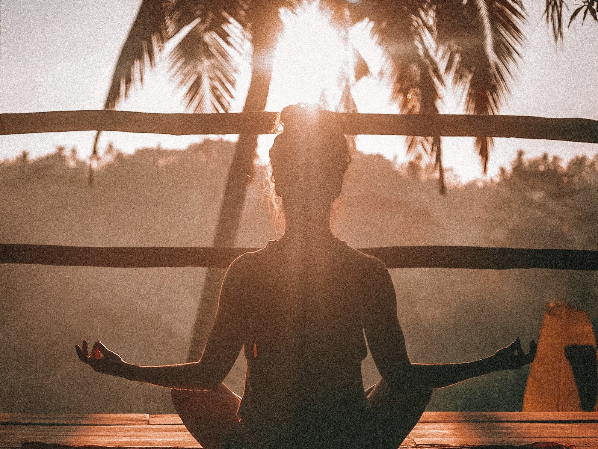 The back of a woman sitting and meditating with palm trees in the background at sunrise.
