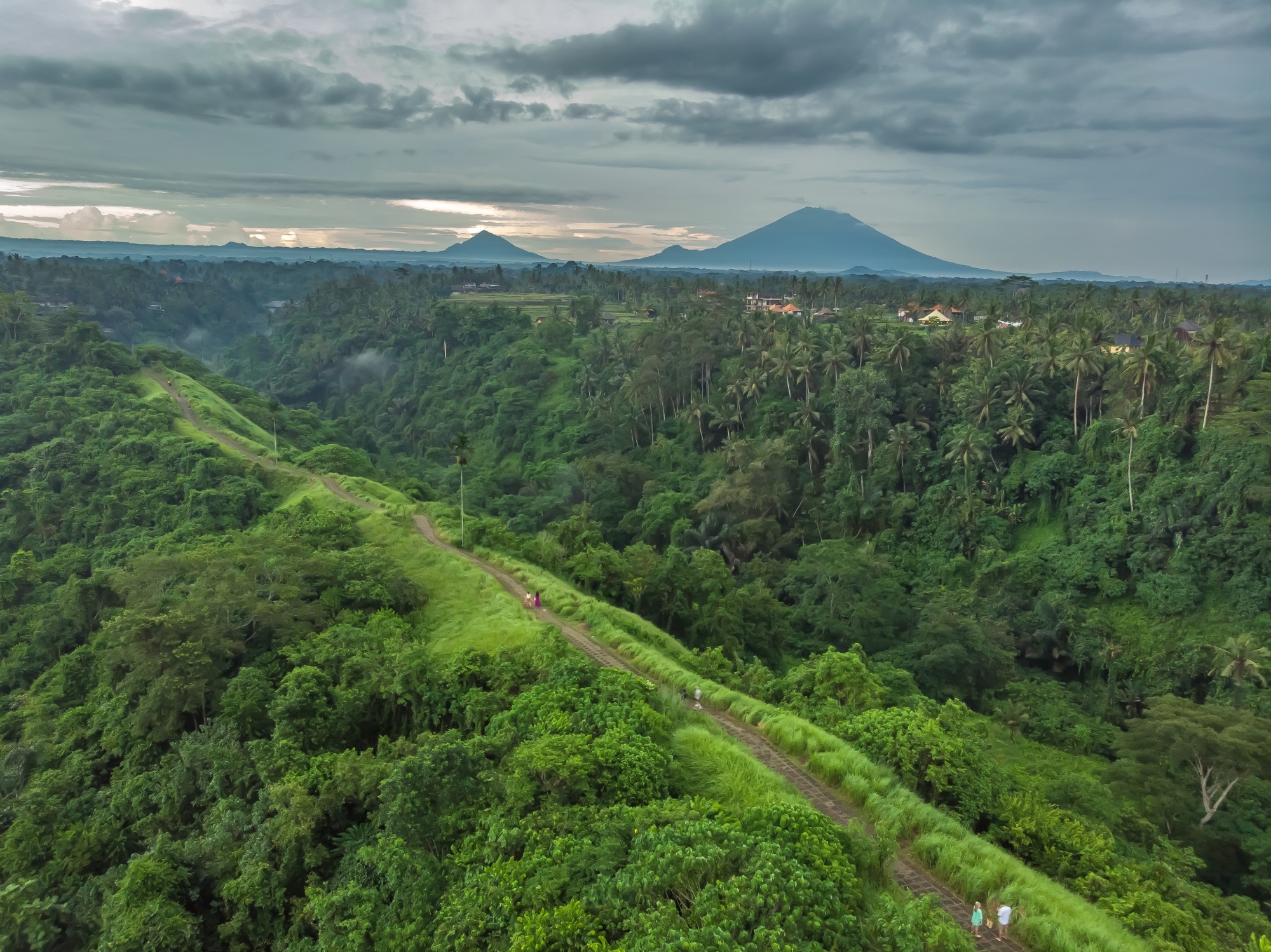 Ridge between forests.