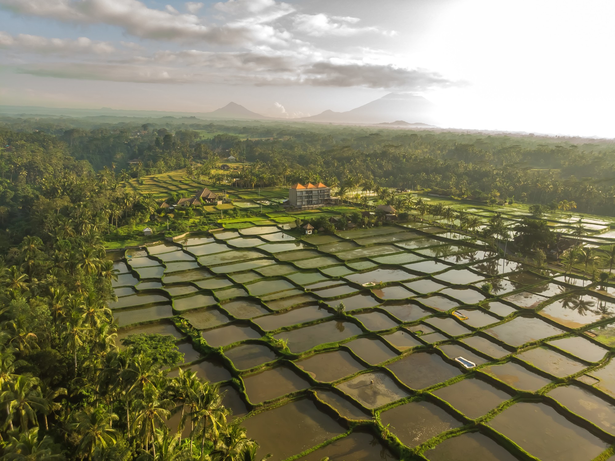 Aerial view of green fields.