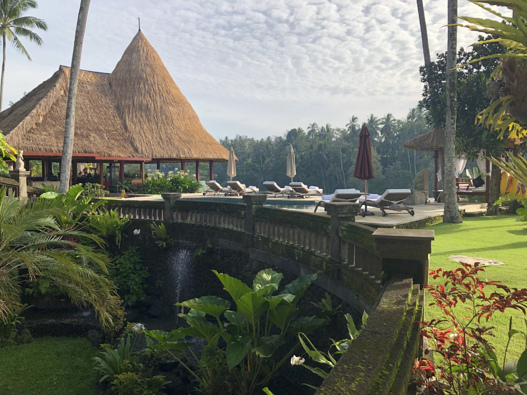 Resort with beach chairs, a hut and green plants.
