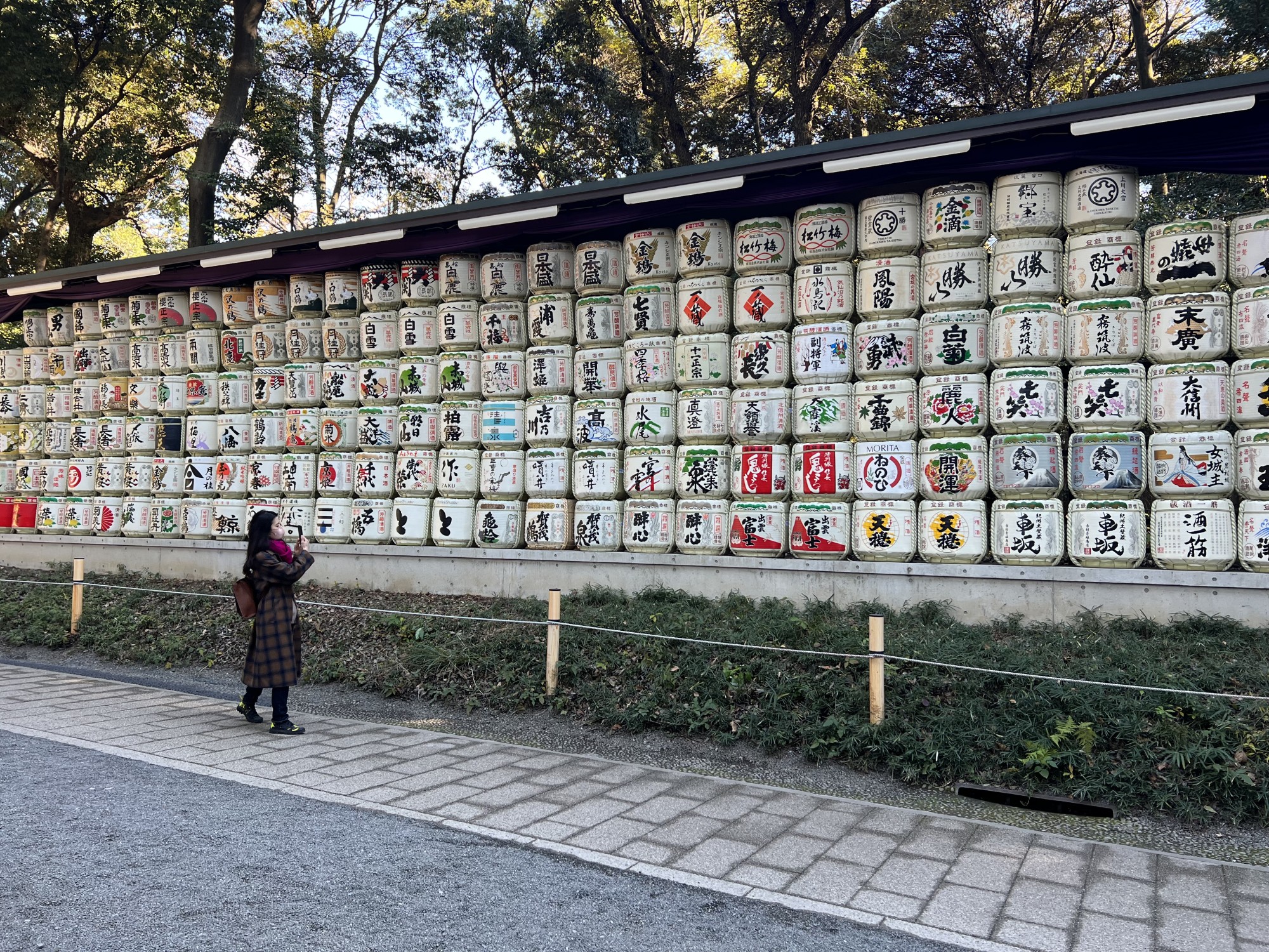A woman standing on a street in Japan staring at a wall full of art.