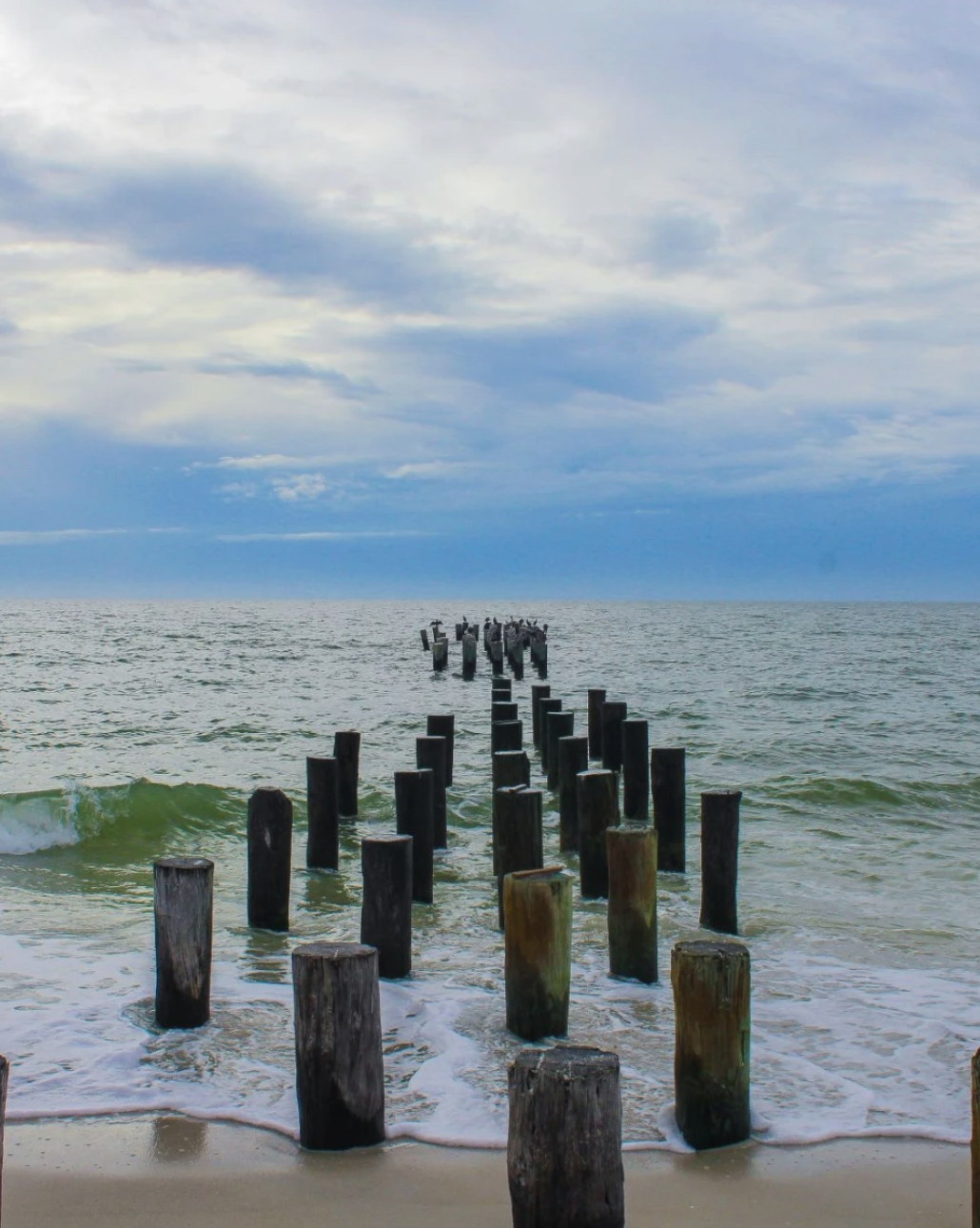 beach with wooden dock supports