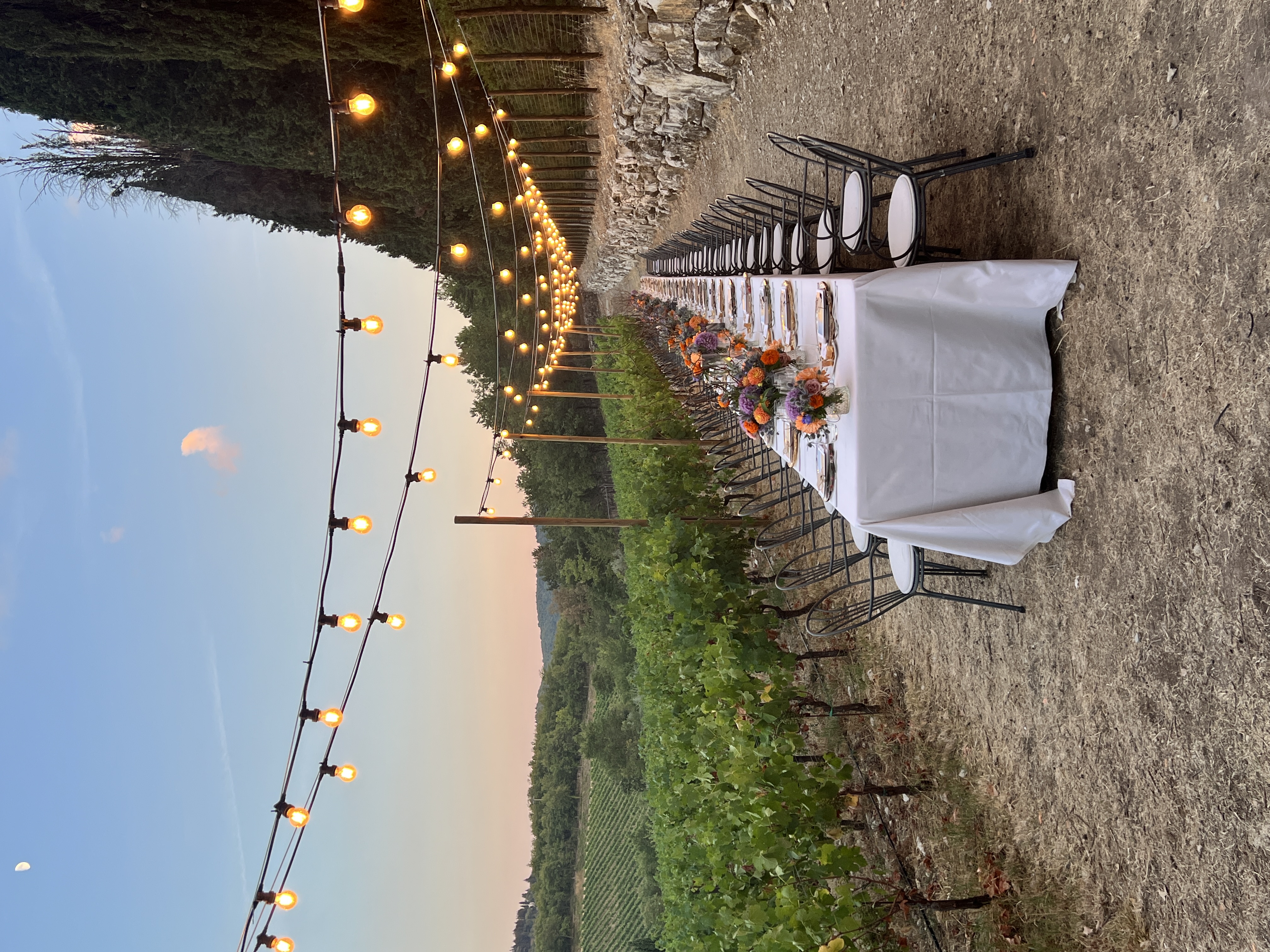 Beautiful outdoor party setup