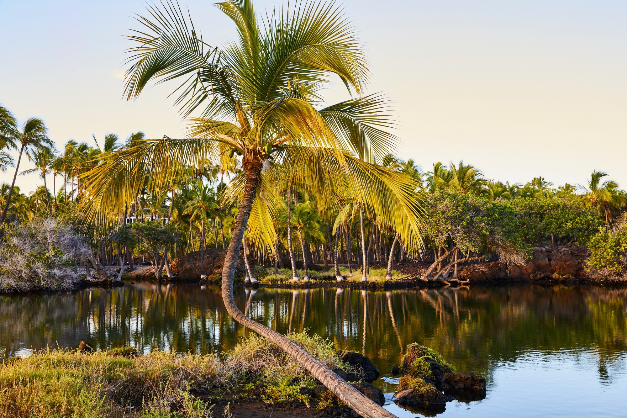 Mauna Lani