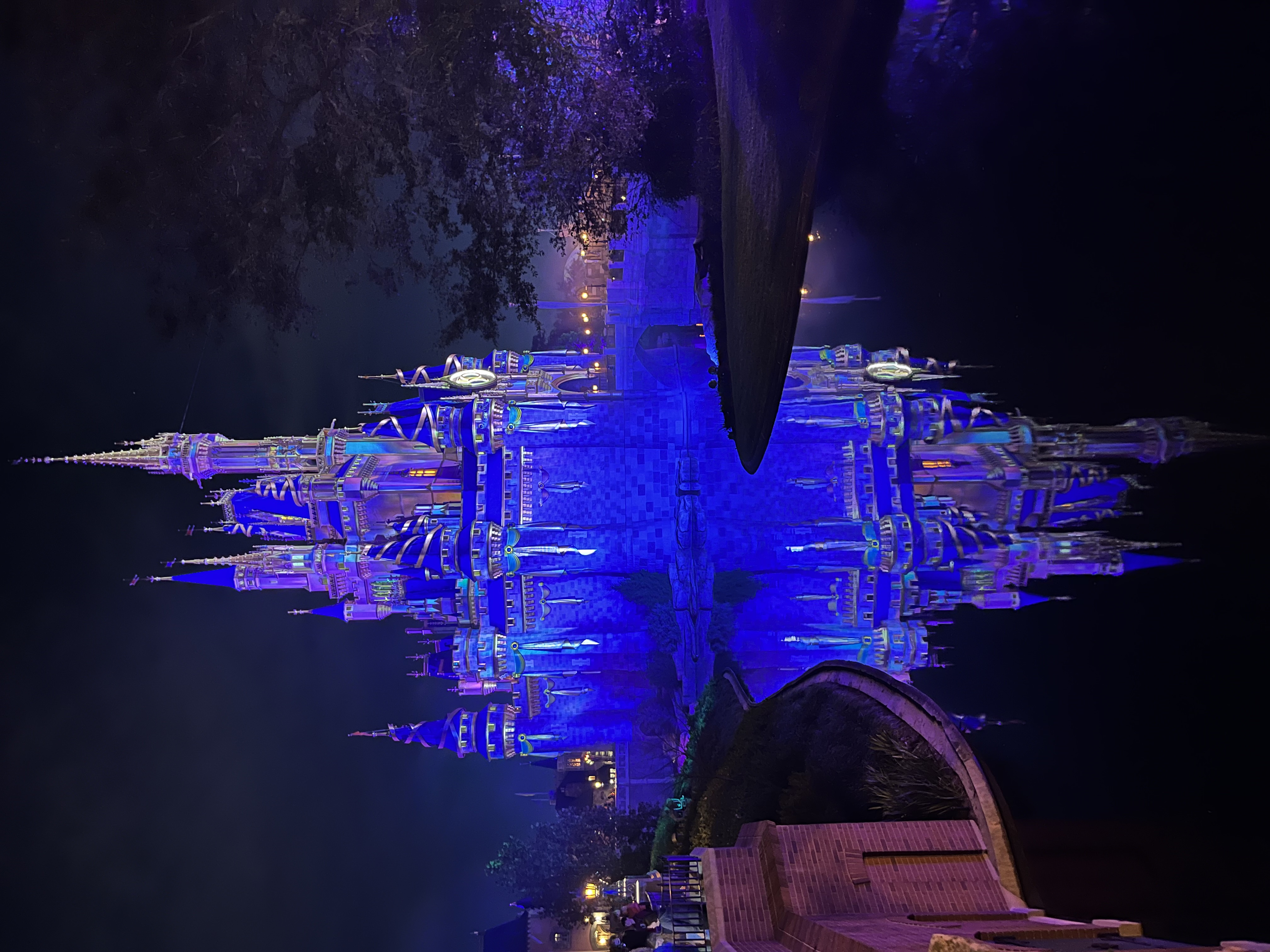 Beautiful vie wof Magic Kingdom Park