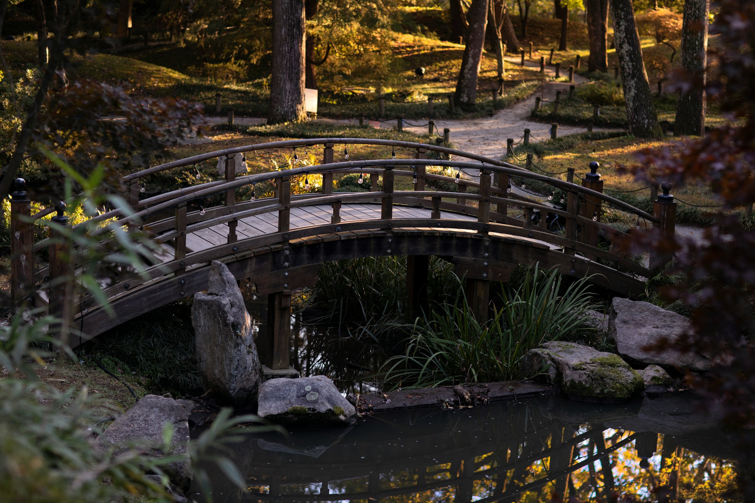 A curved, wooden bridge over a small creek surrounded by plants, rocks and trees.