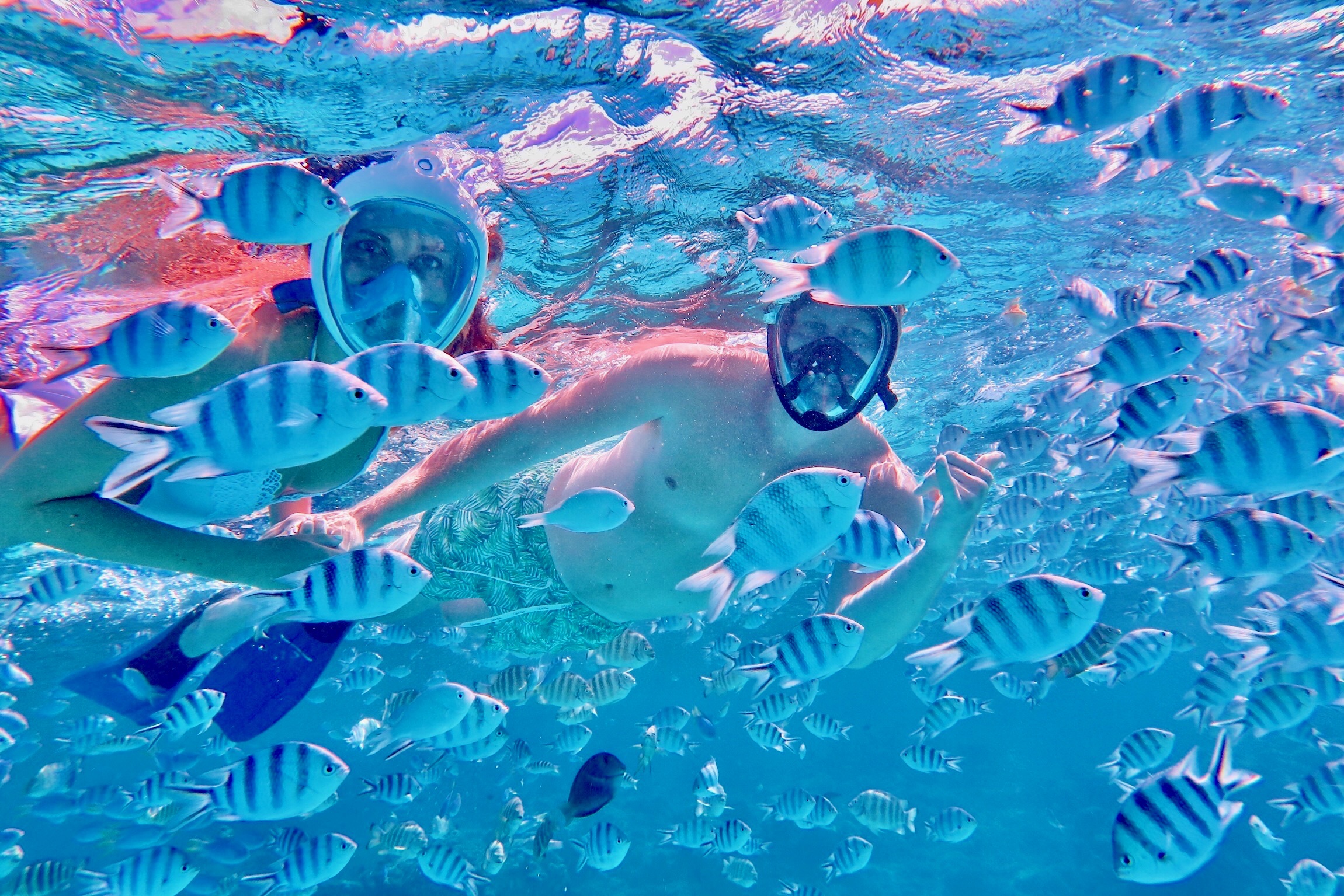 Picture of Carly in water with fish