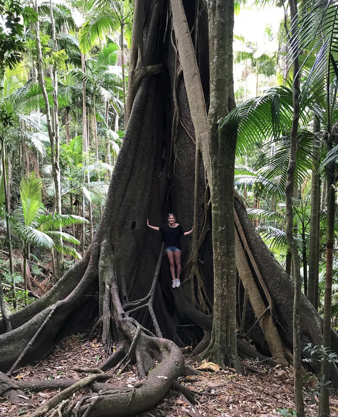 Picture of Kelsie standing on branch of tree