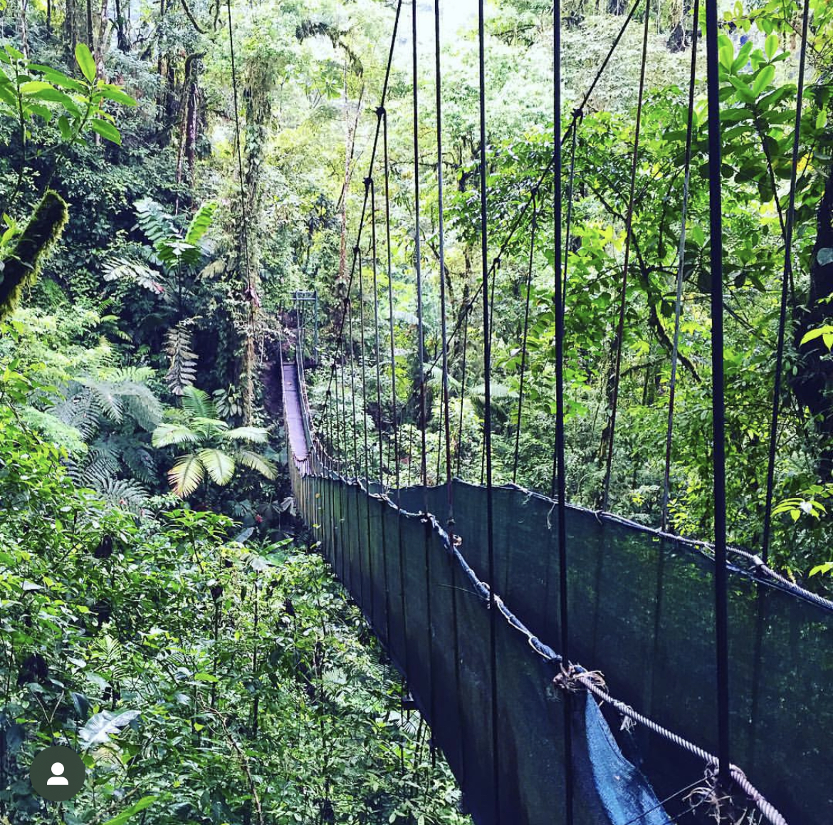 Beautiufl view of hanging bridge