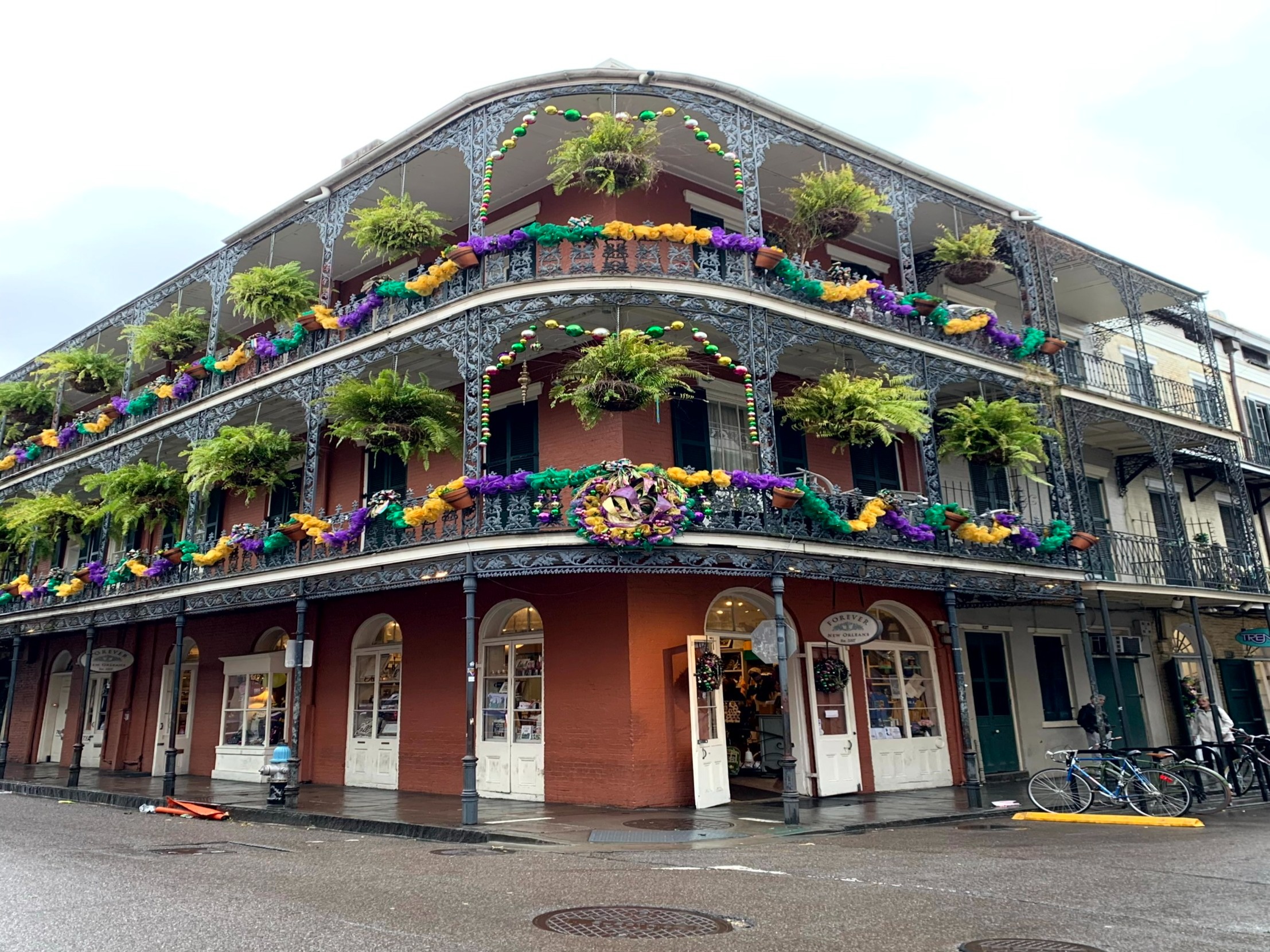A view of an old red brick building, with metal balconies adorned in plants and purple, yellow and green decorations in celebration of Mardi Gras. There are also white doors on the first level.