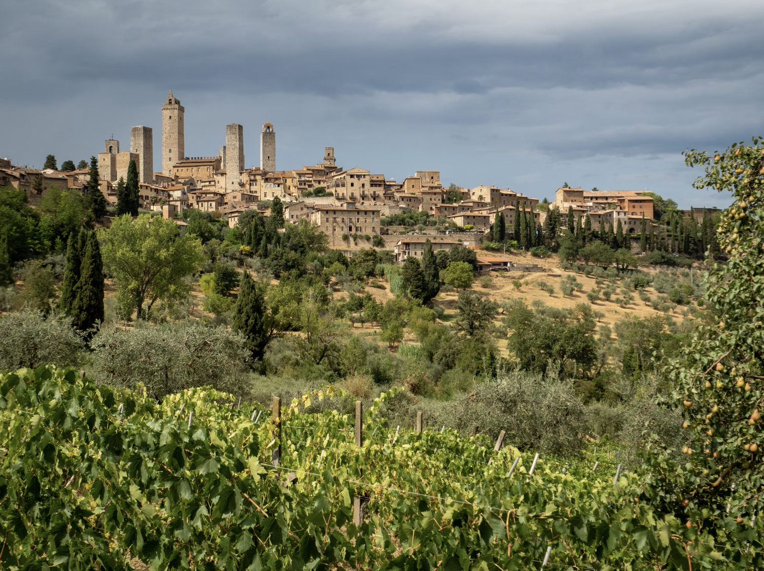 A beautiful view of the rolling green hills and vineyards of the Tuscan countryside. There is also a medieval town in the distance.