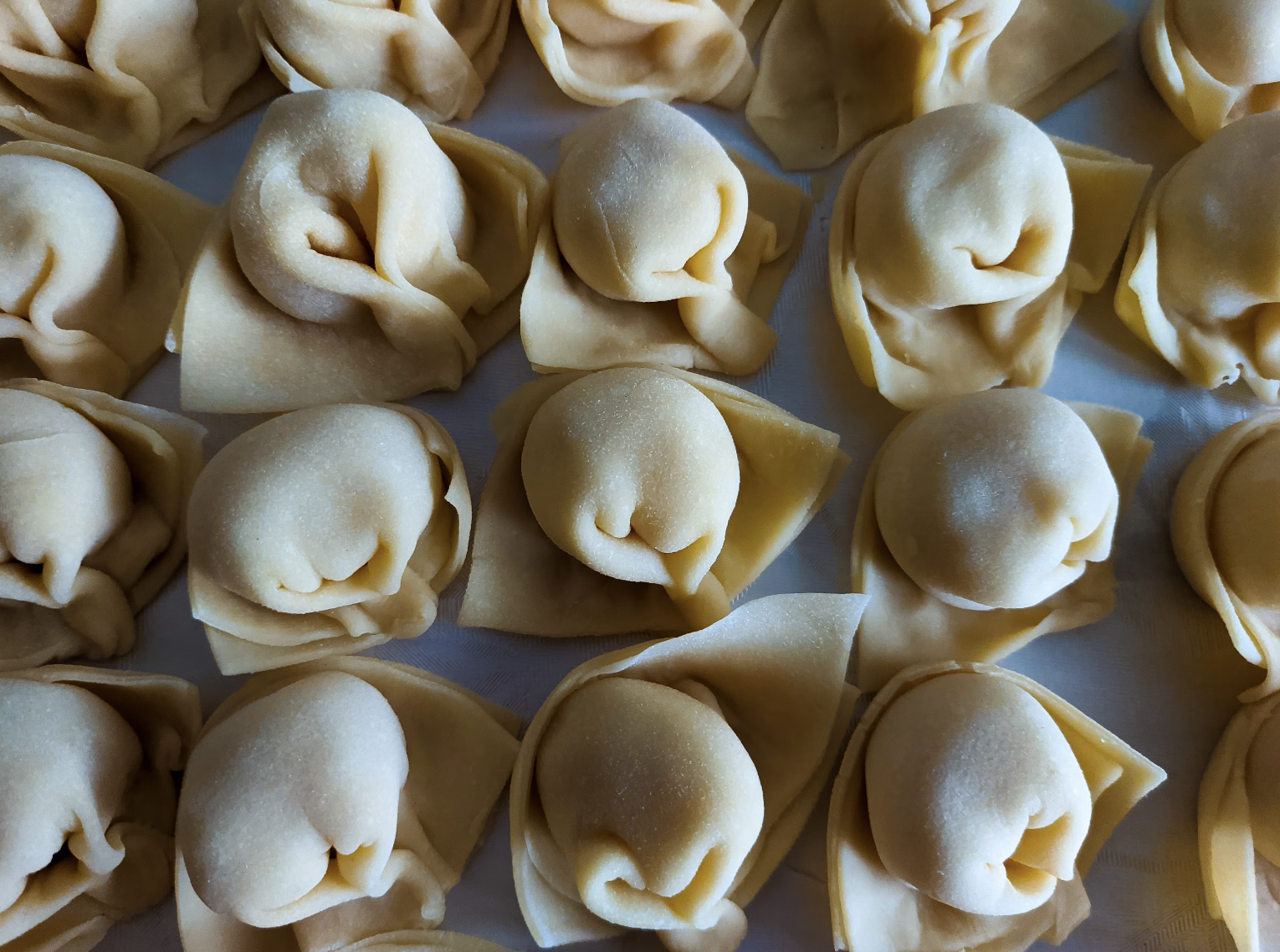 A view of homemade raviolis lined up in rows, before they've been cooked.